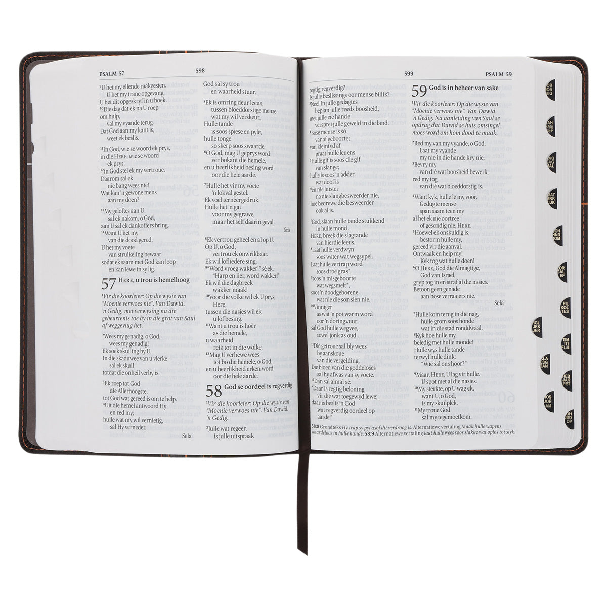 NLV Donkerbruin en Oranje Kunsleer Standaard Bybel Met Duimgrepe