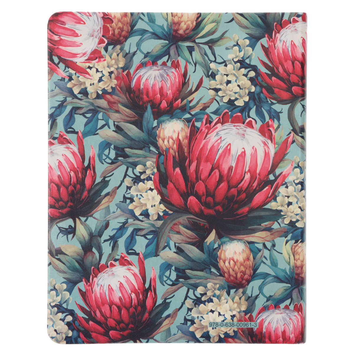 NLV Proteas Kunsleer My Kreatiewe Joernaal-Bybel