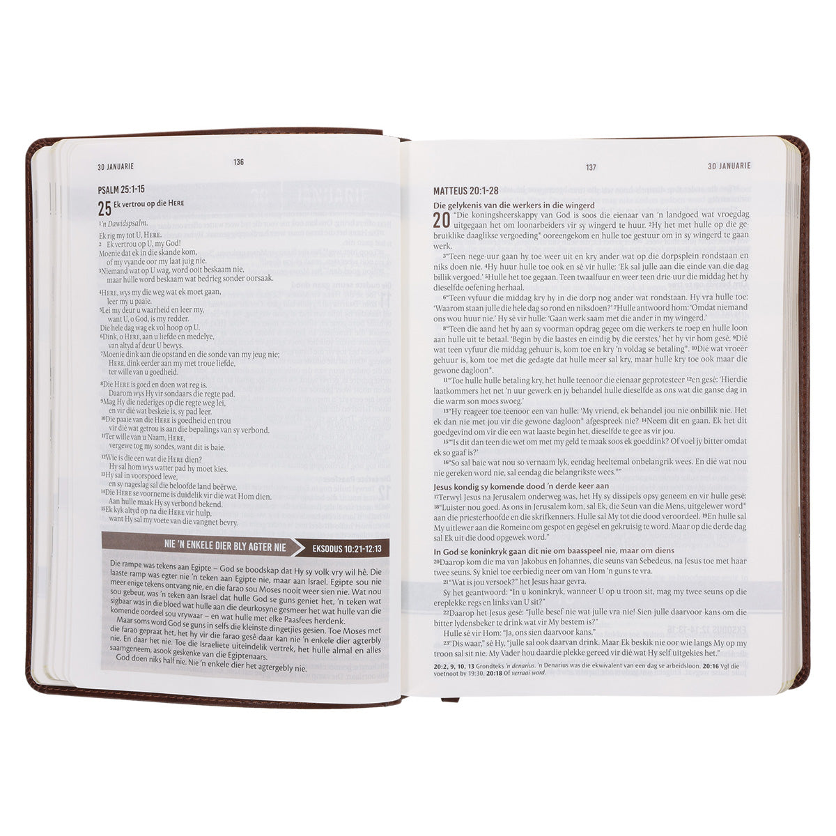 NLV Bruin Kunsleer Stiltetydbybel vir Mans