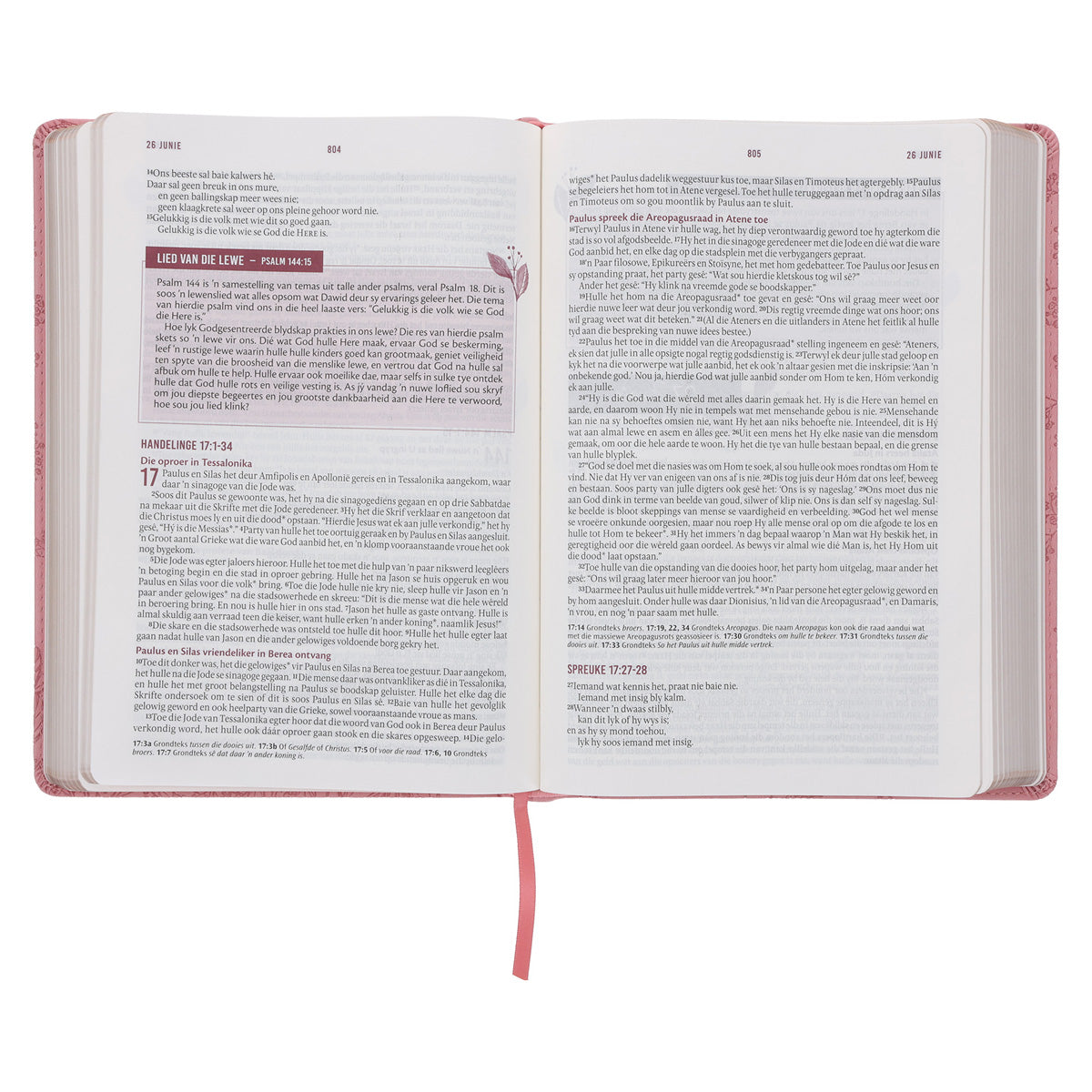 NLV Ligpienk Proteas Kunsleer Stiltetydbybel vir Vroue