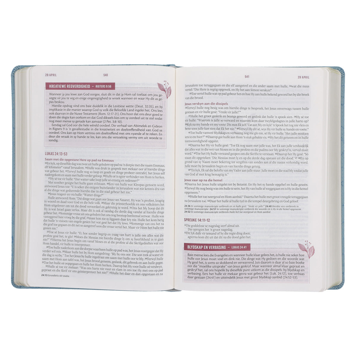 NLV Blougrys Kunsleer Stiltetydbybel vir Vroue