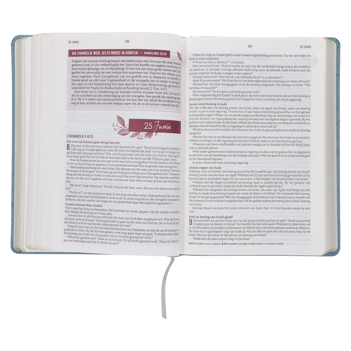 NLV Blougrys Kunsleer Stiltetydbybel vir Vroue