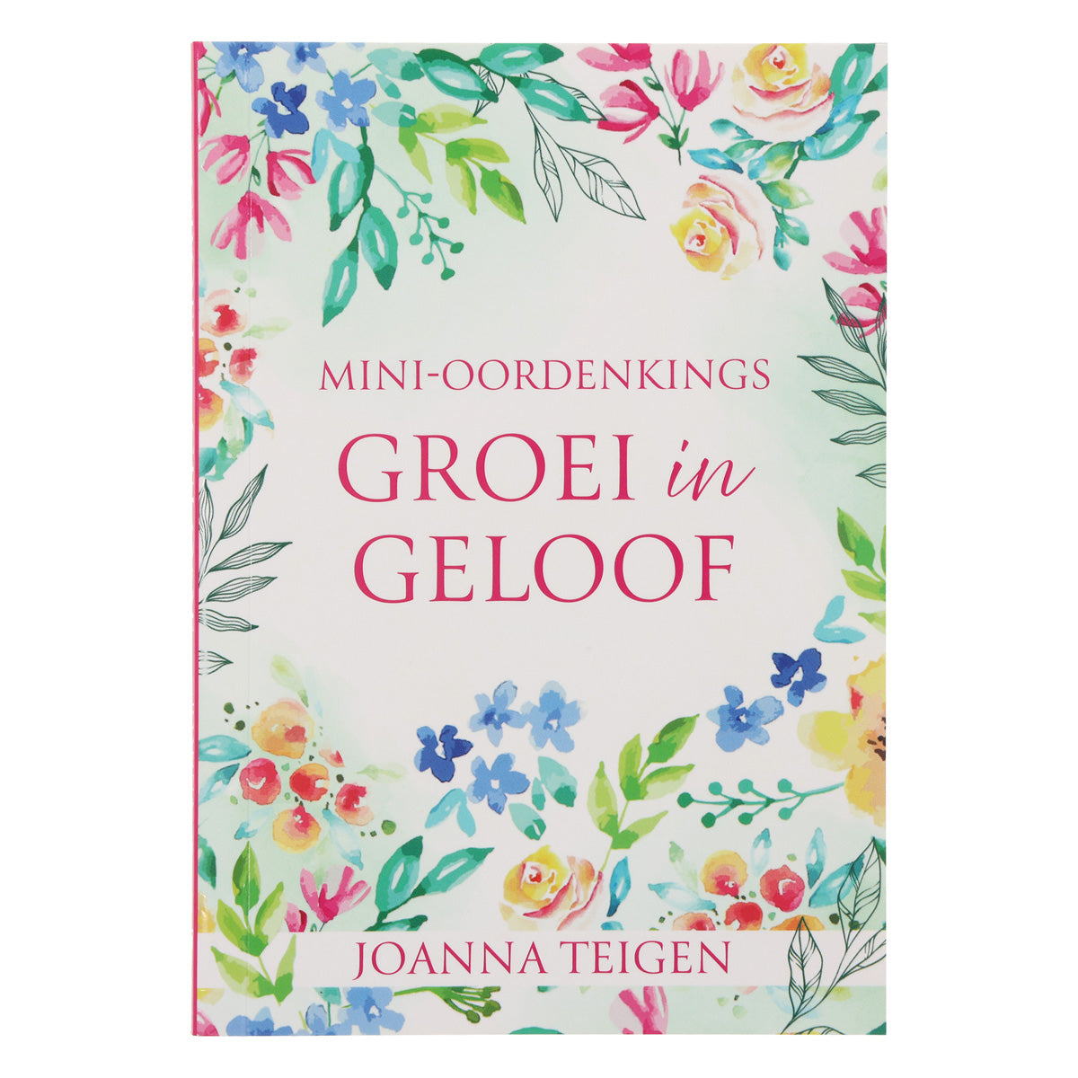 Mini-Oordenkings Groei in Geloof (Sagteband)