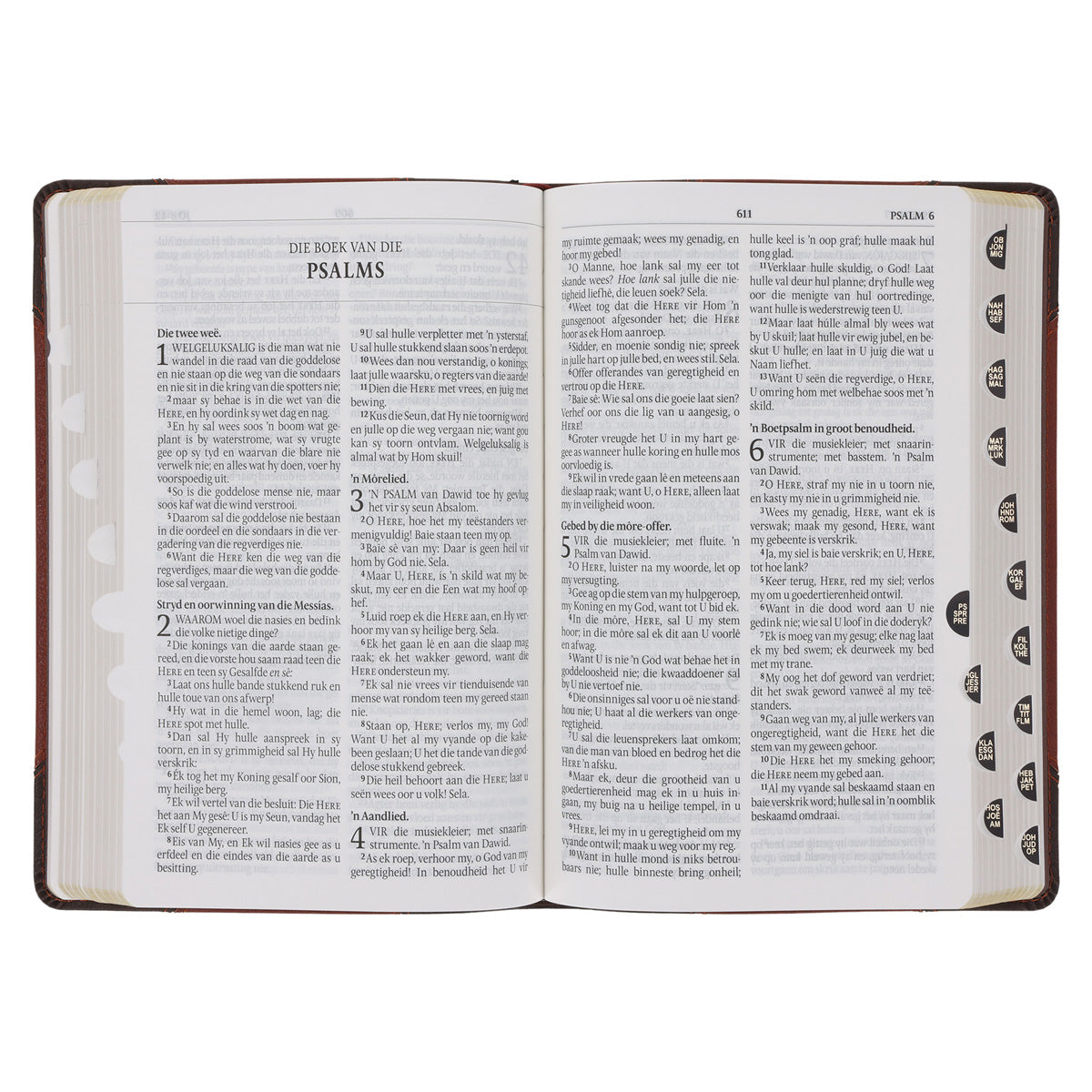 Afrikaans 1933/1953 Vertaling Bruin Kunsleer Bybel