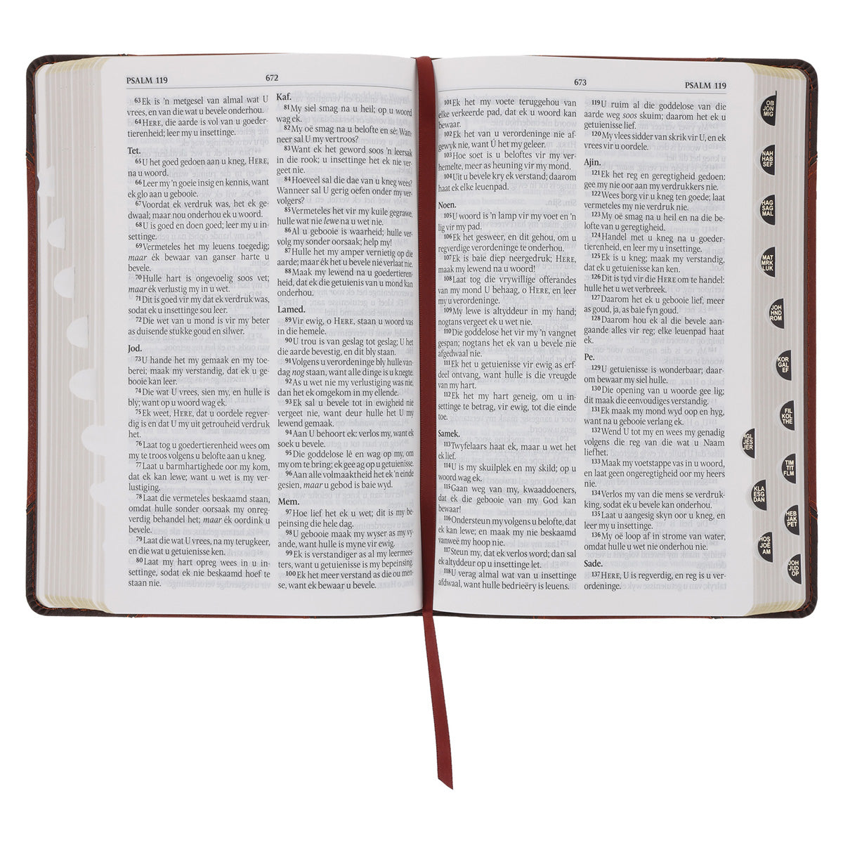 Afrikaans 1933/1953 Vertaling Bruin Kunsleer Bybel