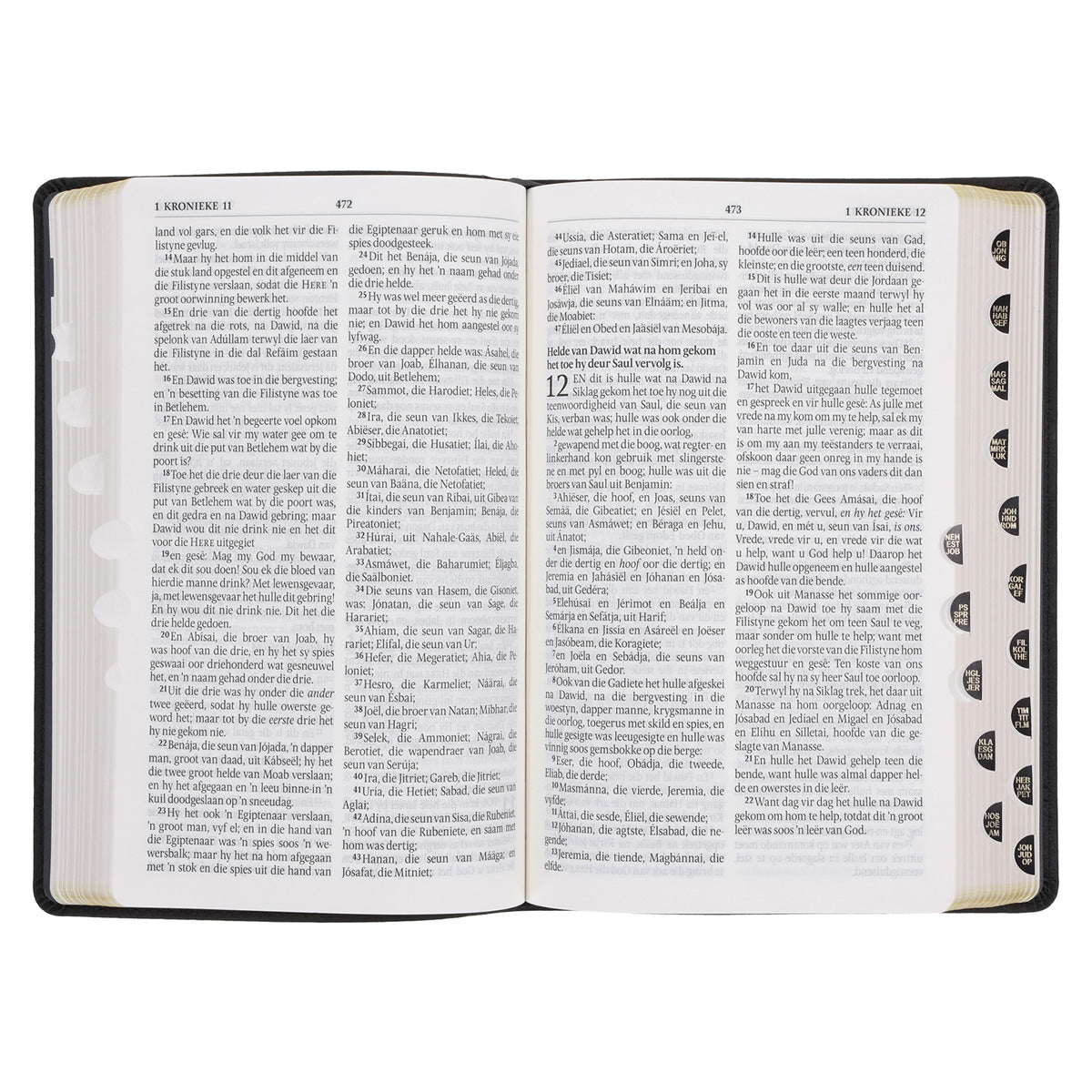 Afrikaans 1933/1953 Vertaling Swart Kunsleer Bybel