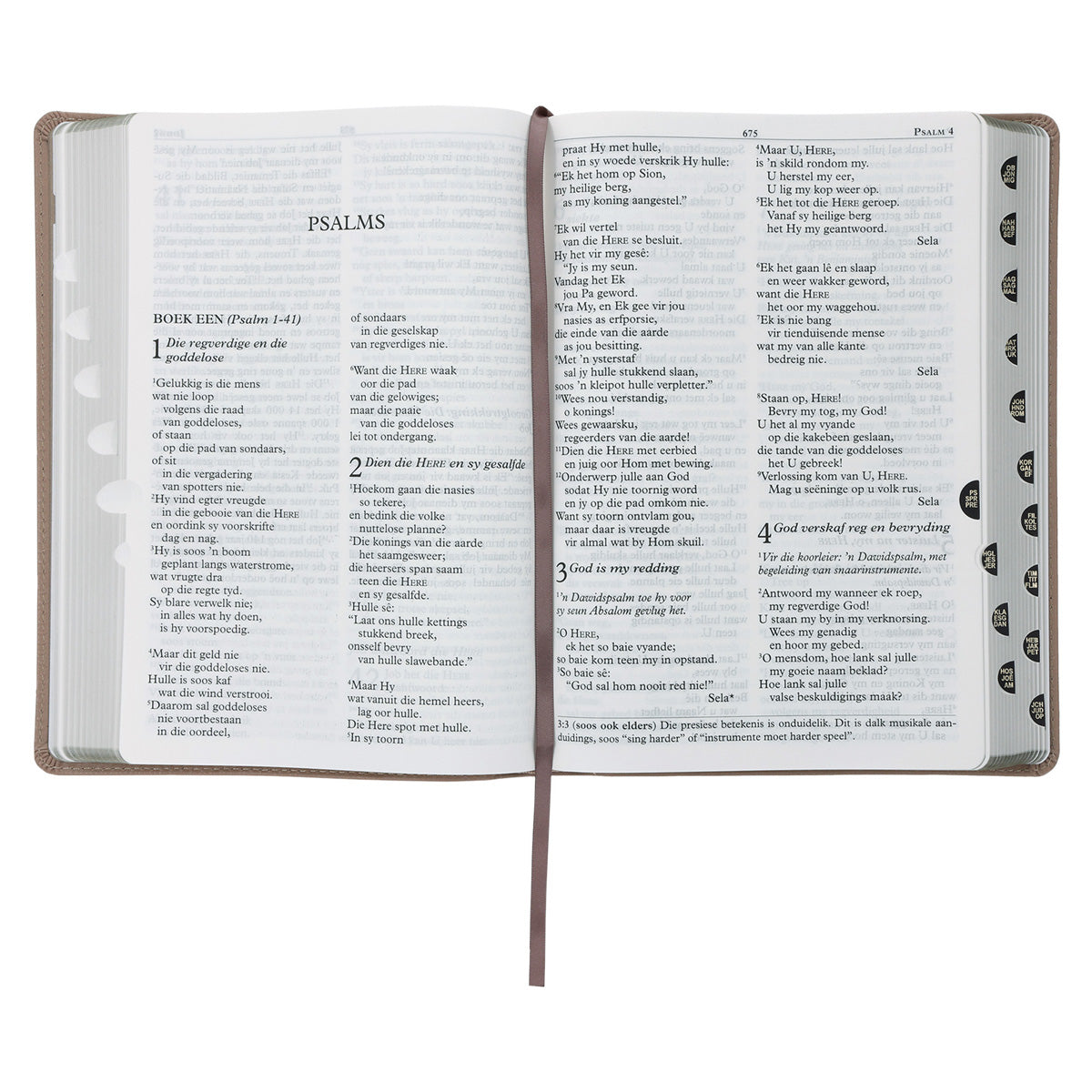 NLV Sandsteen Egte Leer Grootdruk Bybel