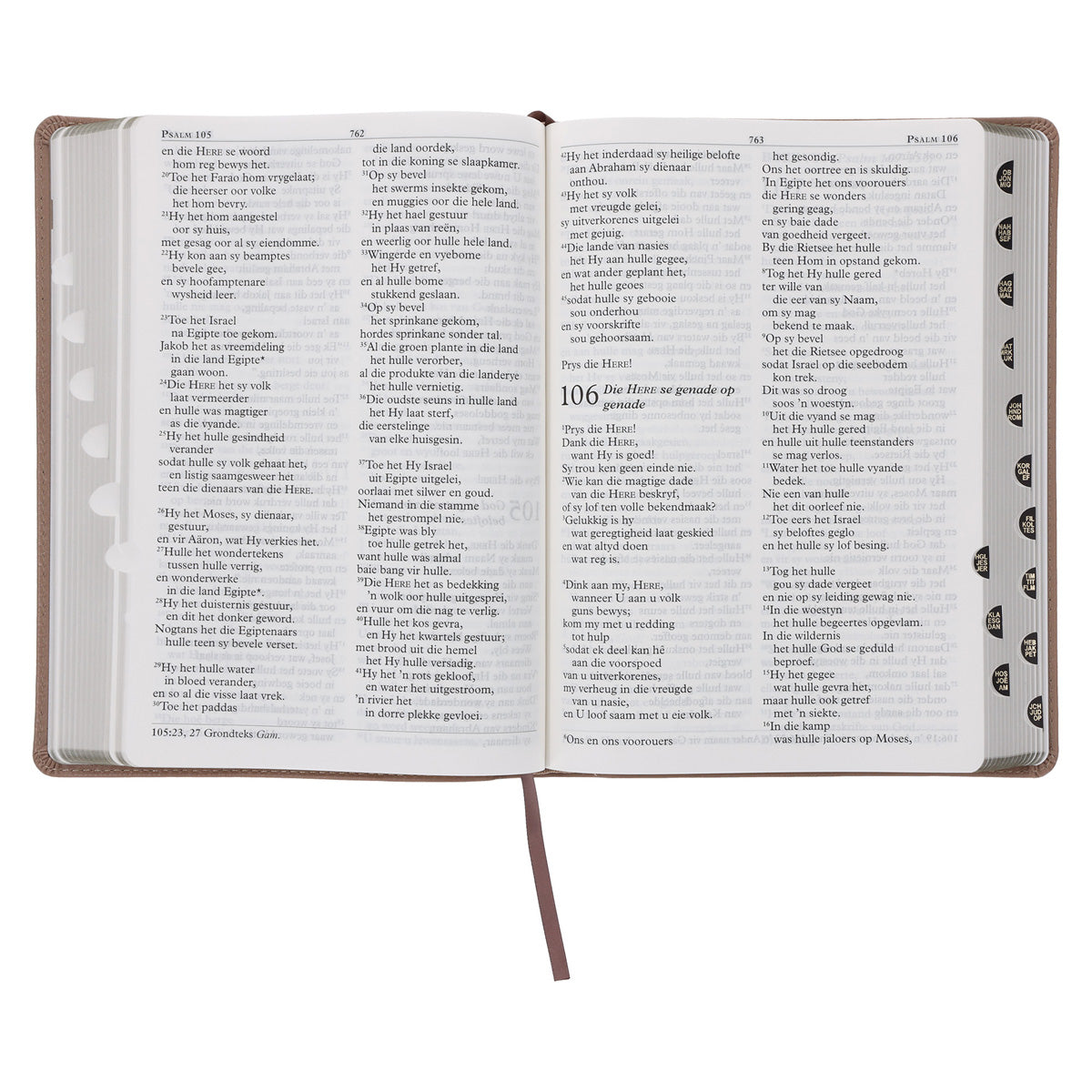 NLV Sandsteen Egte Leer Grootdruk Bybel