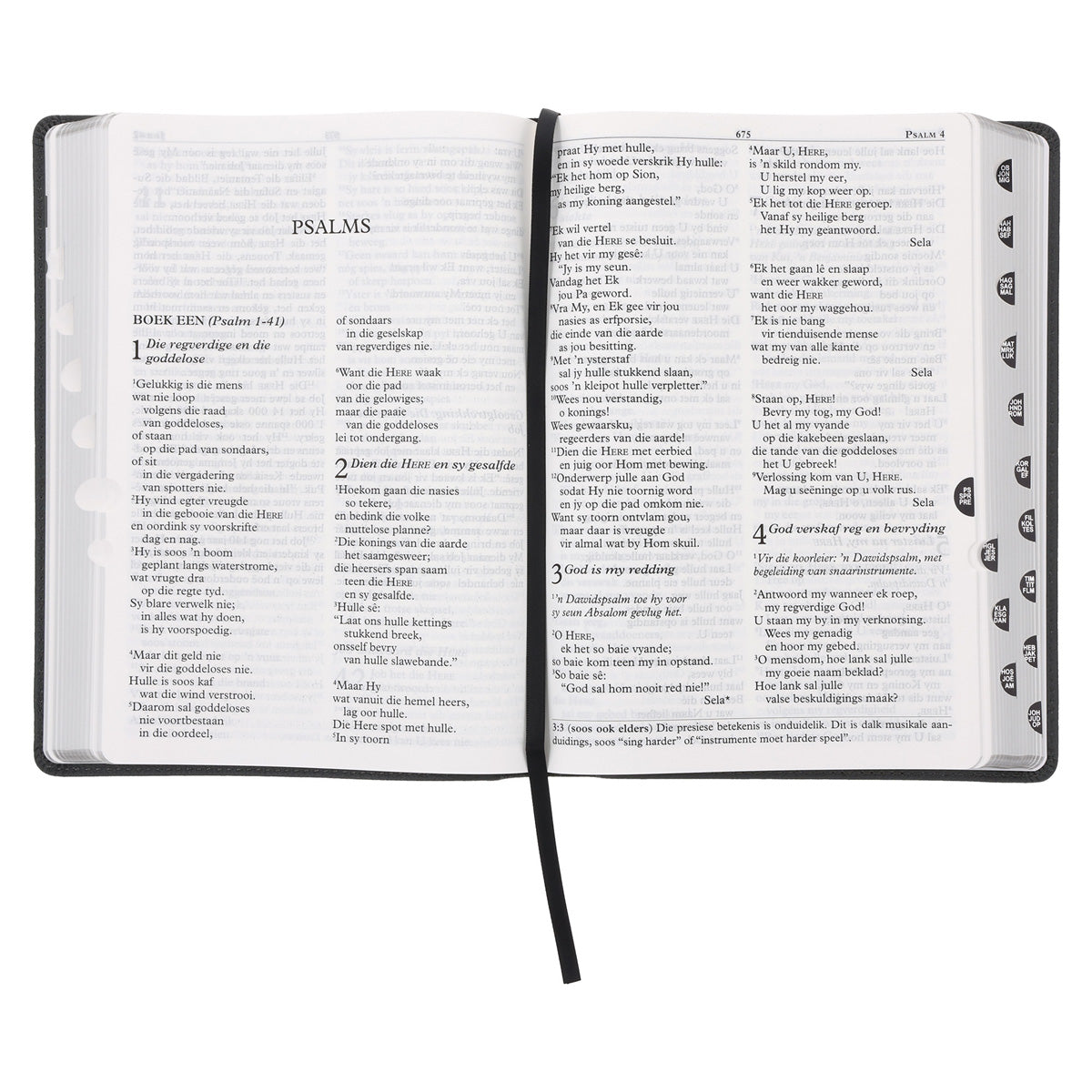 NLV Steenkool Egte Leer Grootdruk Bybel