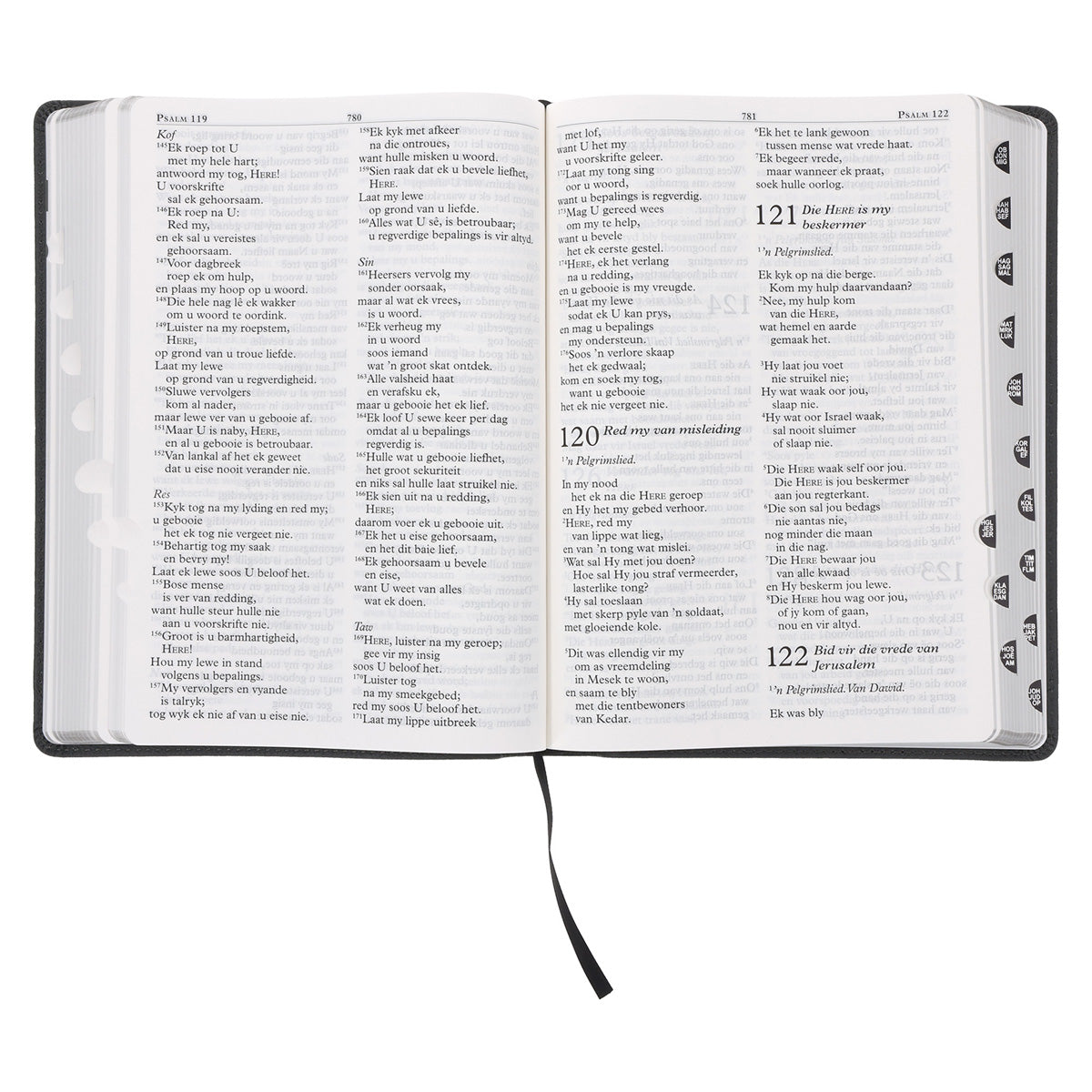 NLV Steenkool Egte Leer Grootdruk Bybel
