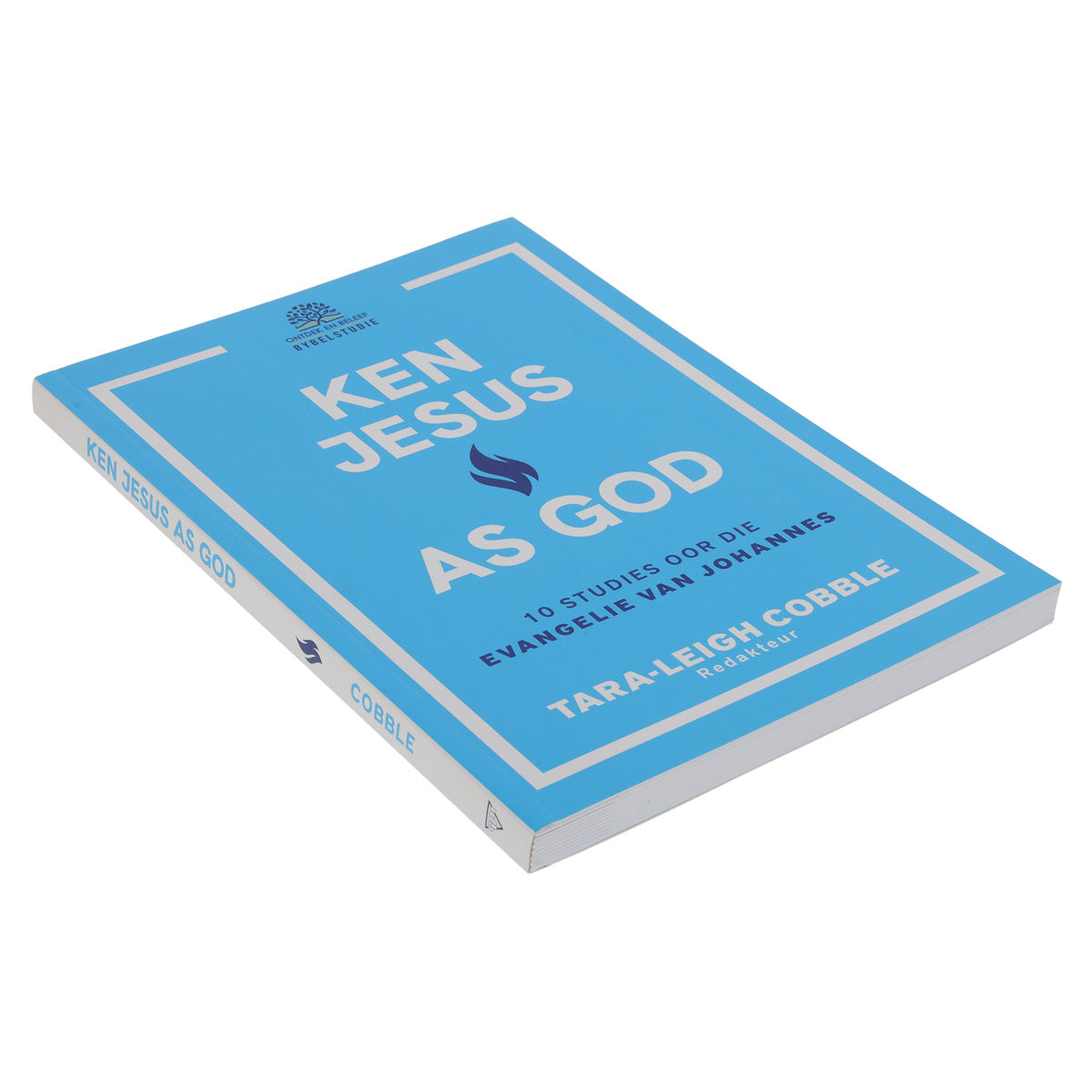 Ken Jesus As God Bybelstudie (Sagteband)