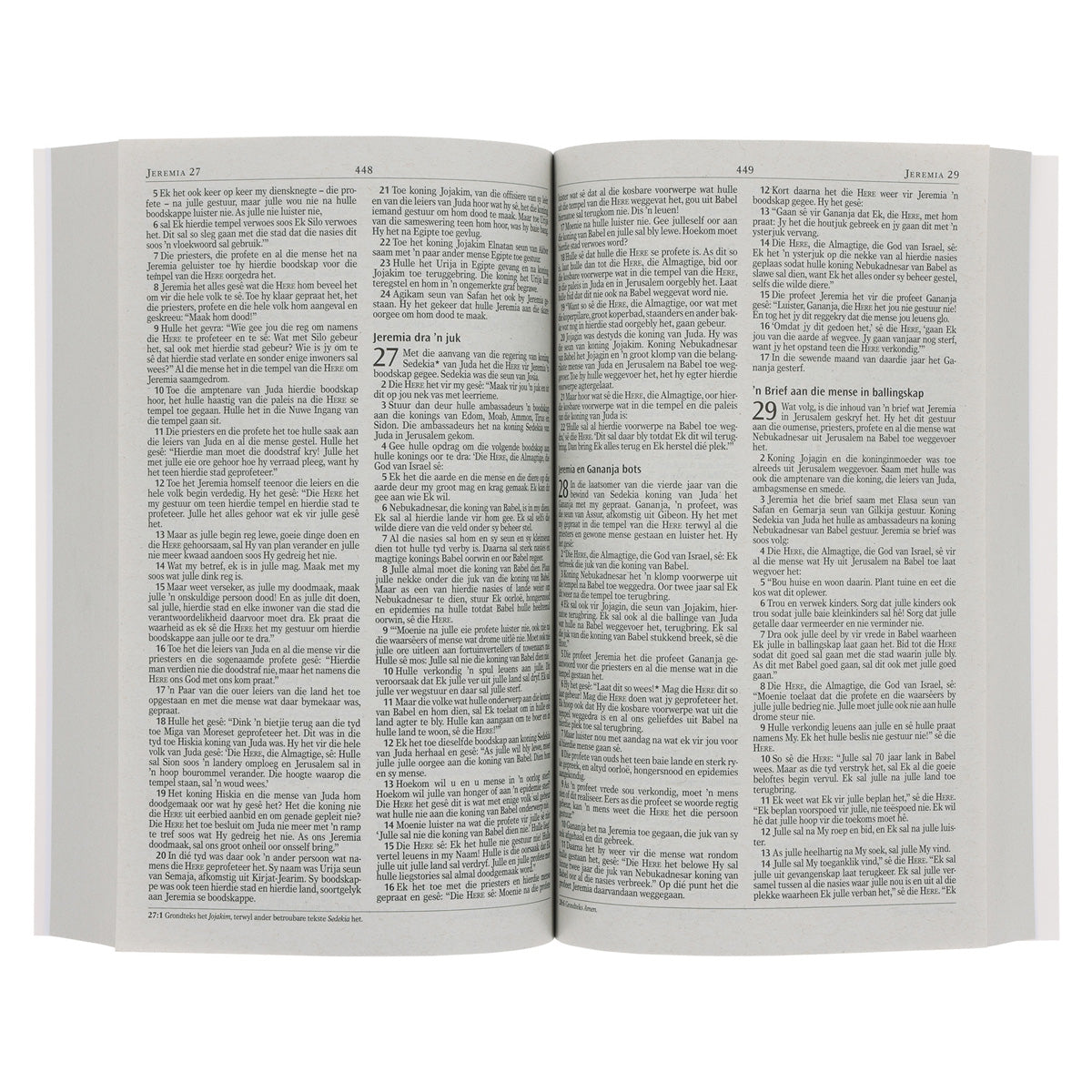 NLV Pienk Berge Sagteband Uitreikbybel