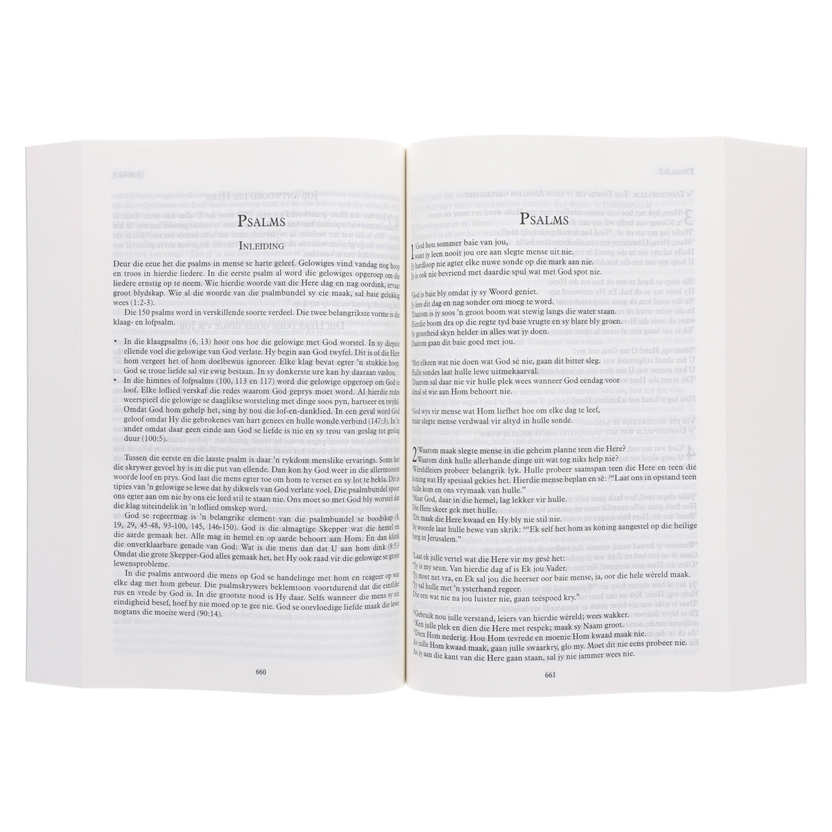 Die Boodskap Duif Sagteband Bybel