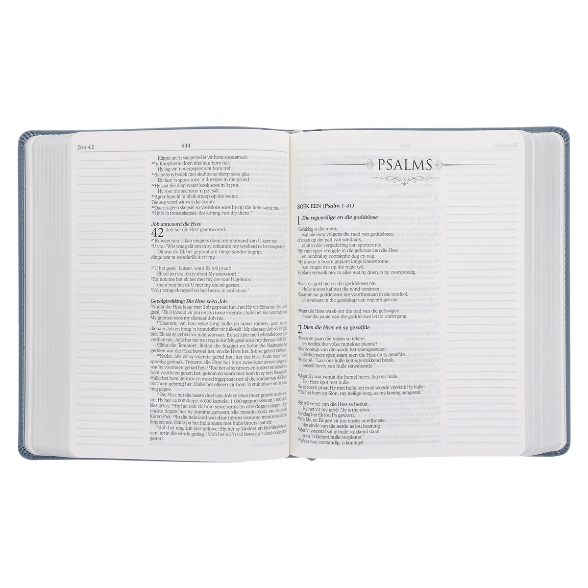 NLV Blougrys Kunsleer Joernaal-Bybel