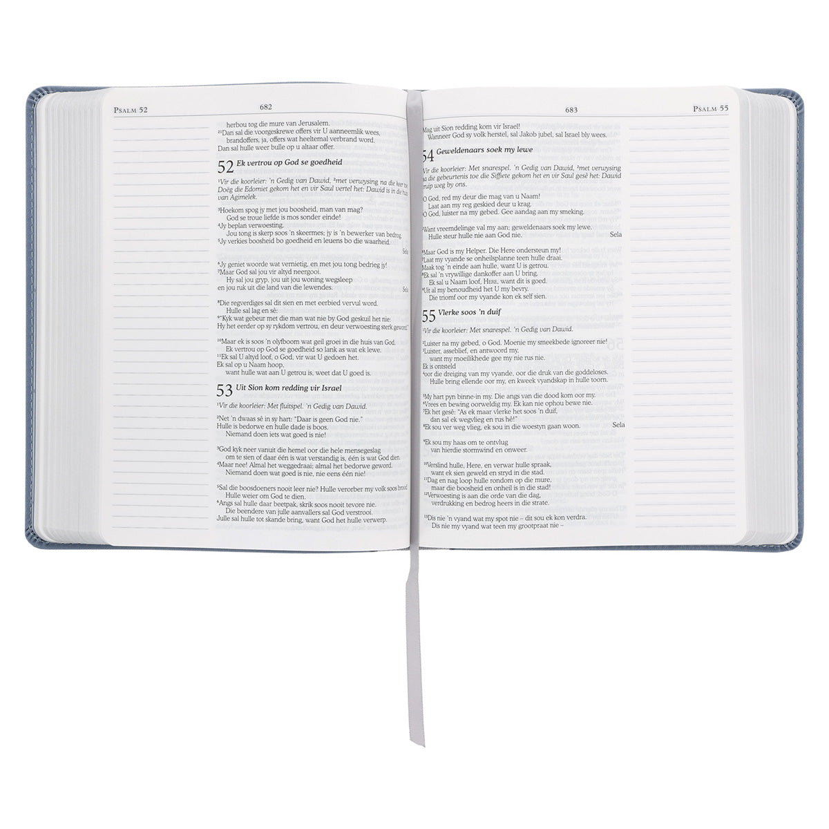 NLV Blougrys Kunsleer Joernaal-Bybel