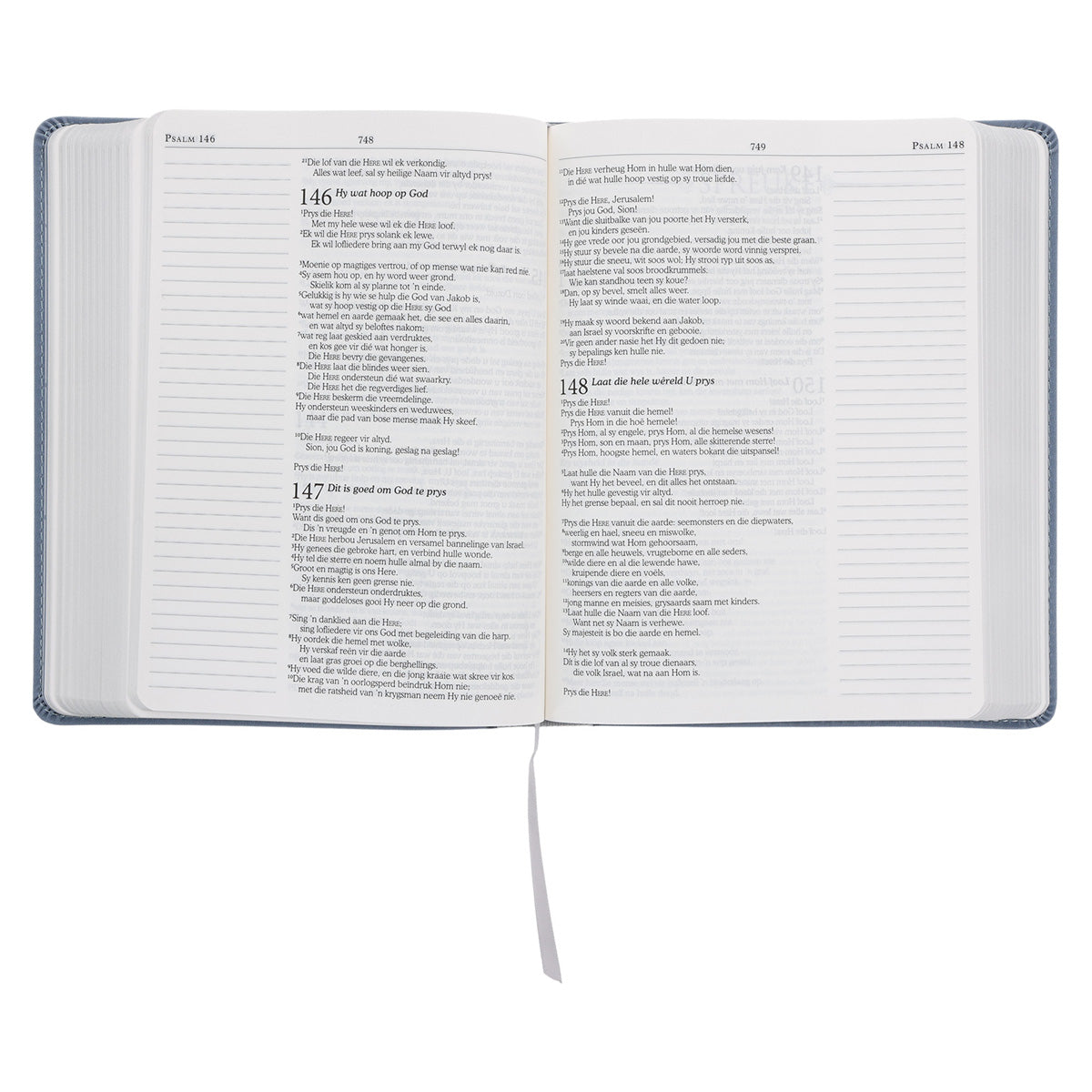 NLV Blougrys Kunsleer Joernaal-Bybel