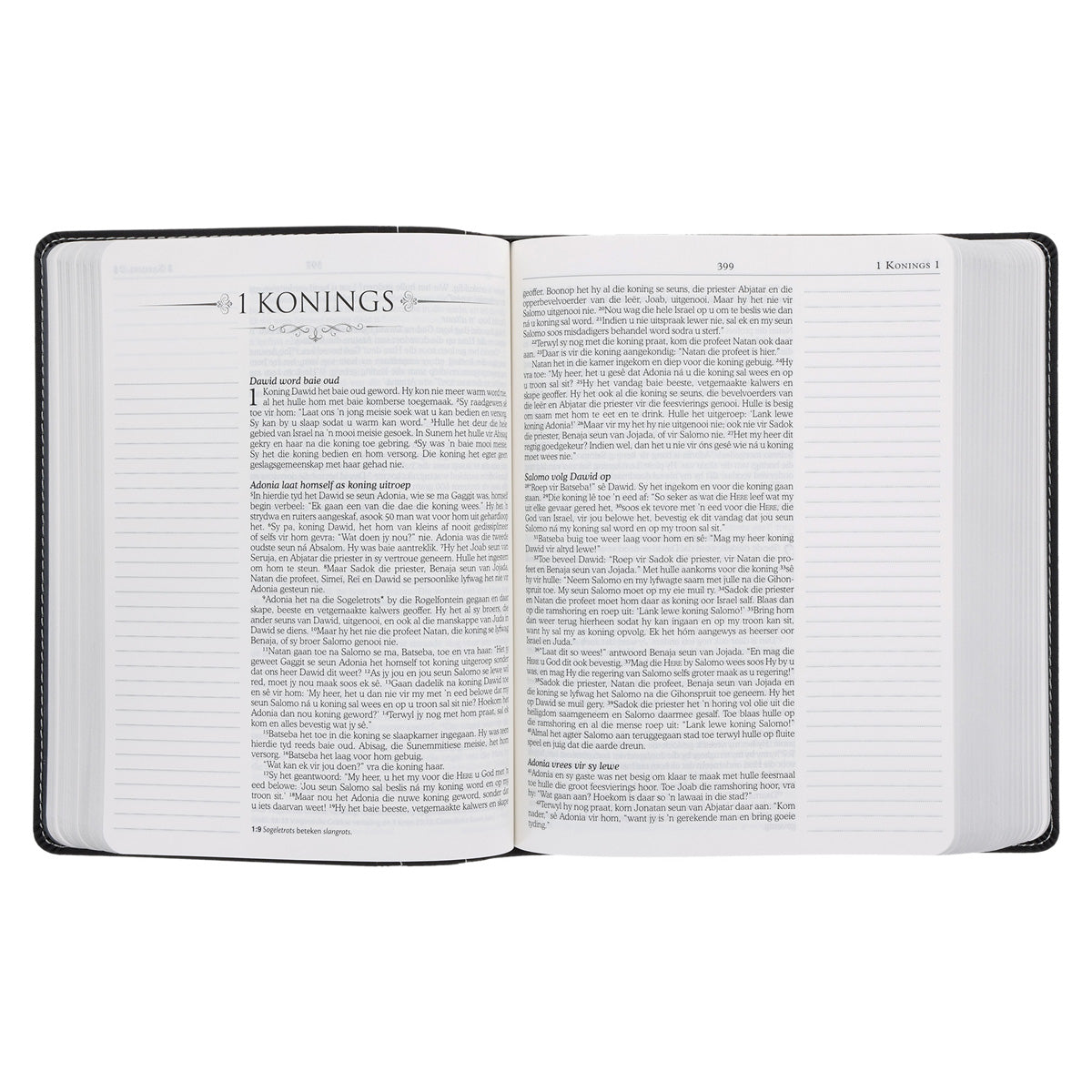 NLV Swart Kunsleer Joernaal-Bybel