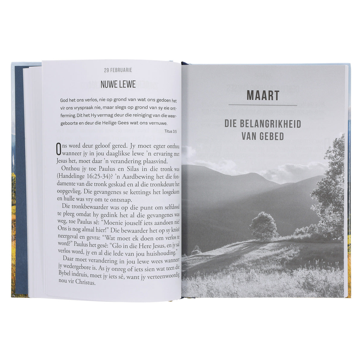 Vaste Geloof Grootdruk Dagstukke (Hardeband)