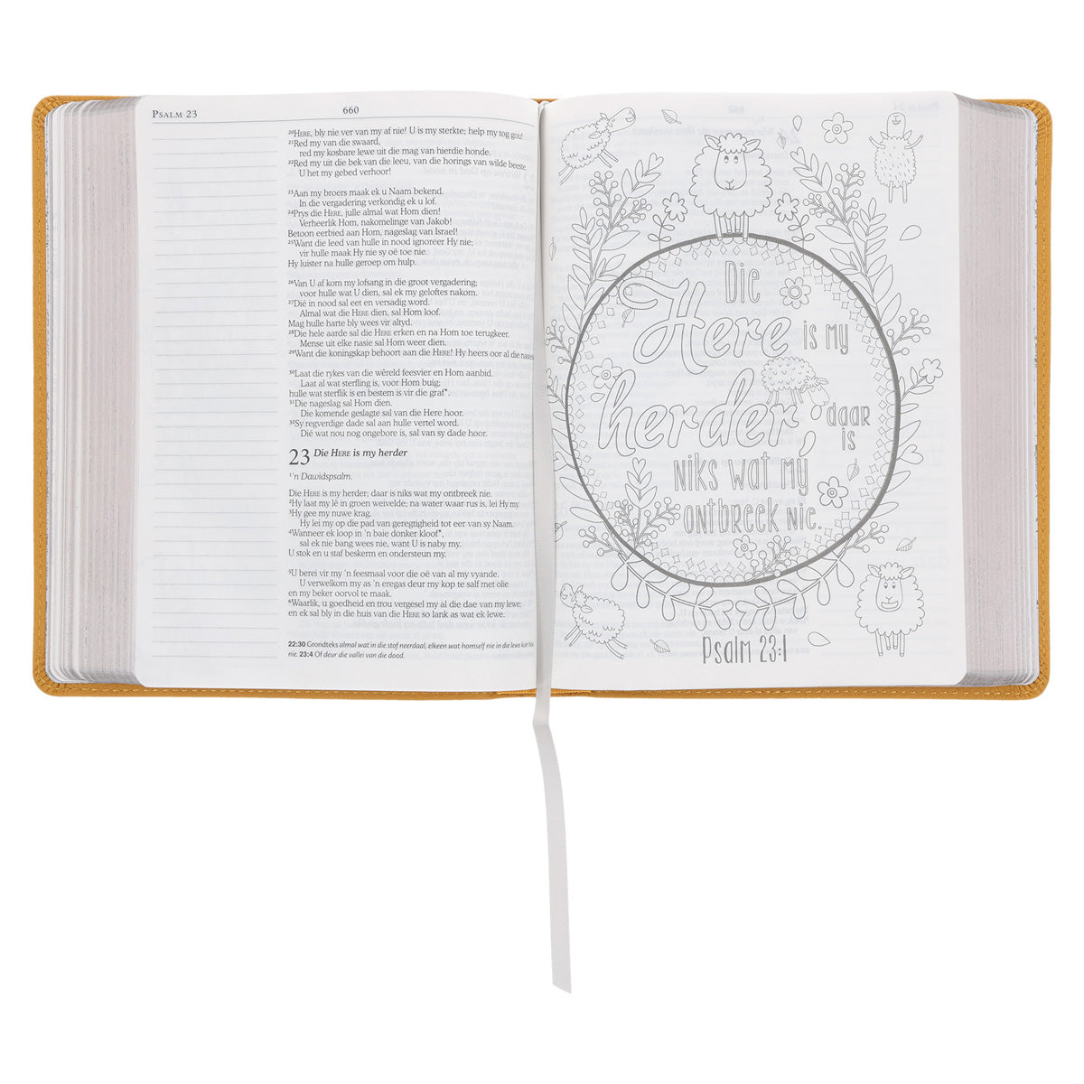 NLV Geel Egte Leer My Kreatiewe Joernaal-Bybel