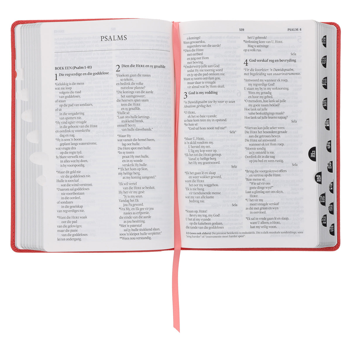 NLV Koraal Egte Leer Standaard Bybel