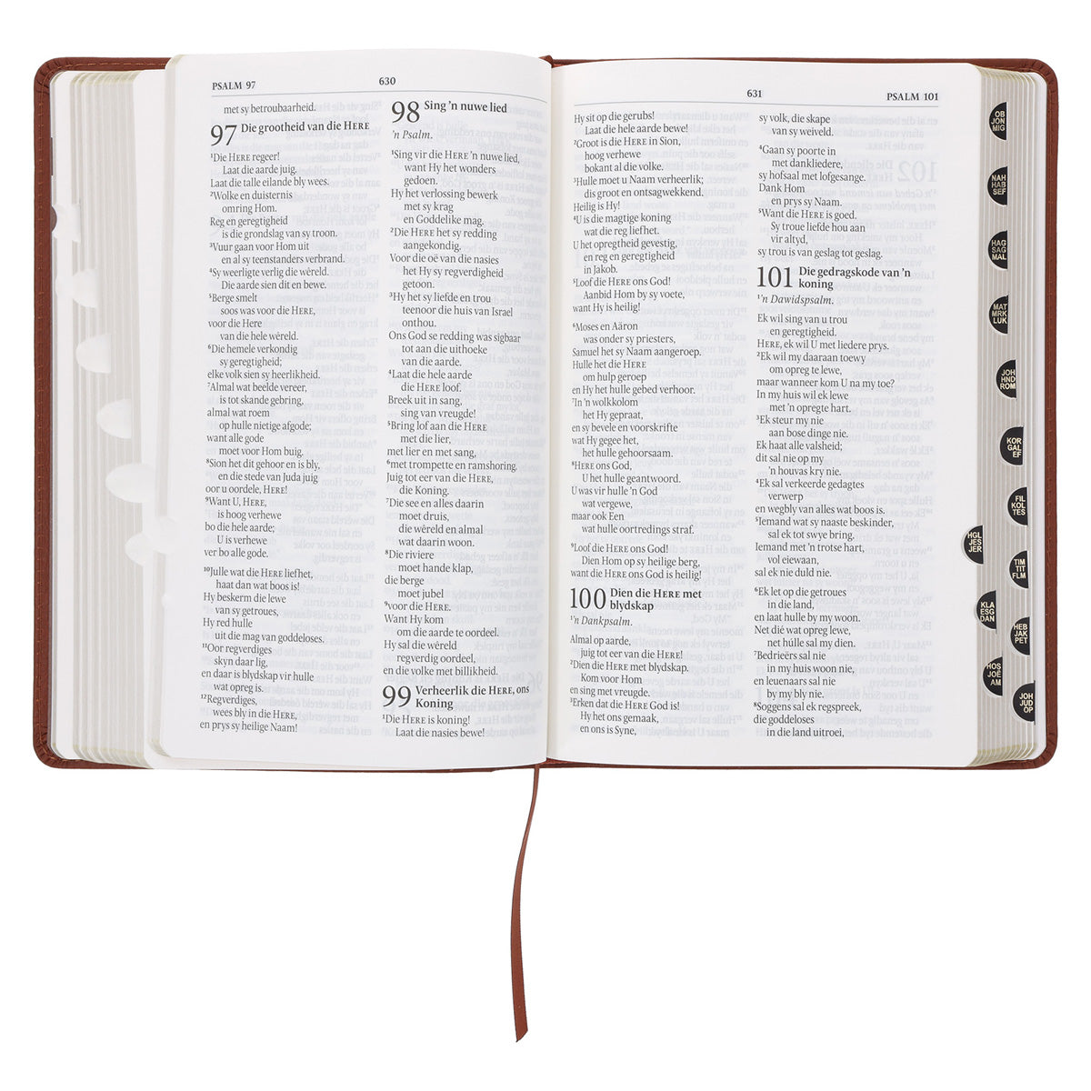 NLV Taan Egte Leer Standaard Bybel