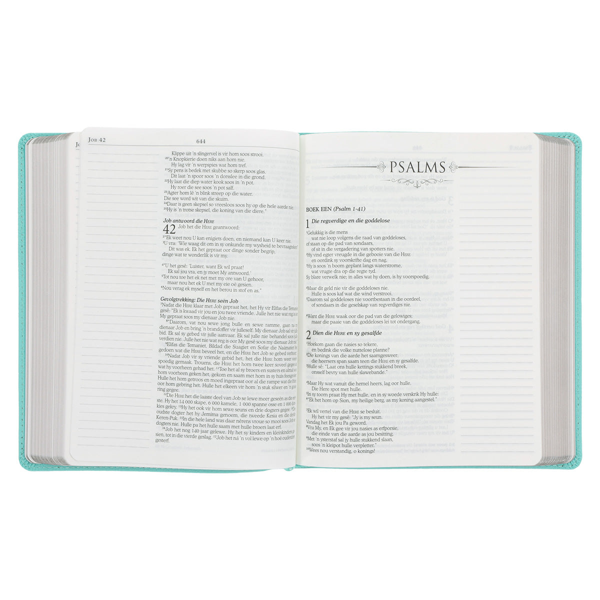NLV Seegroen Egte Leer Joernaal-Bybel