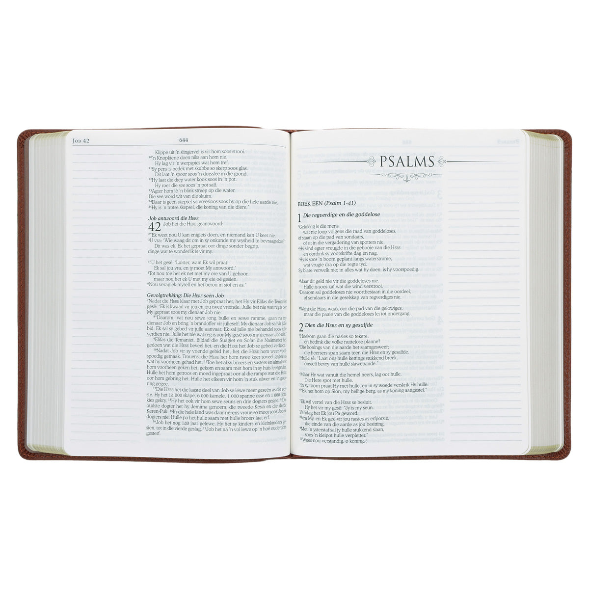 NLV Bruin Egte Leer Joernaal-Bybel
