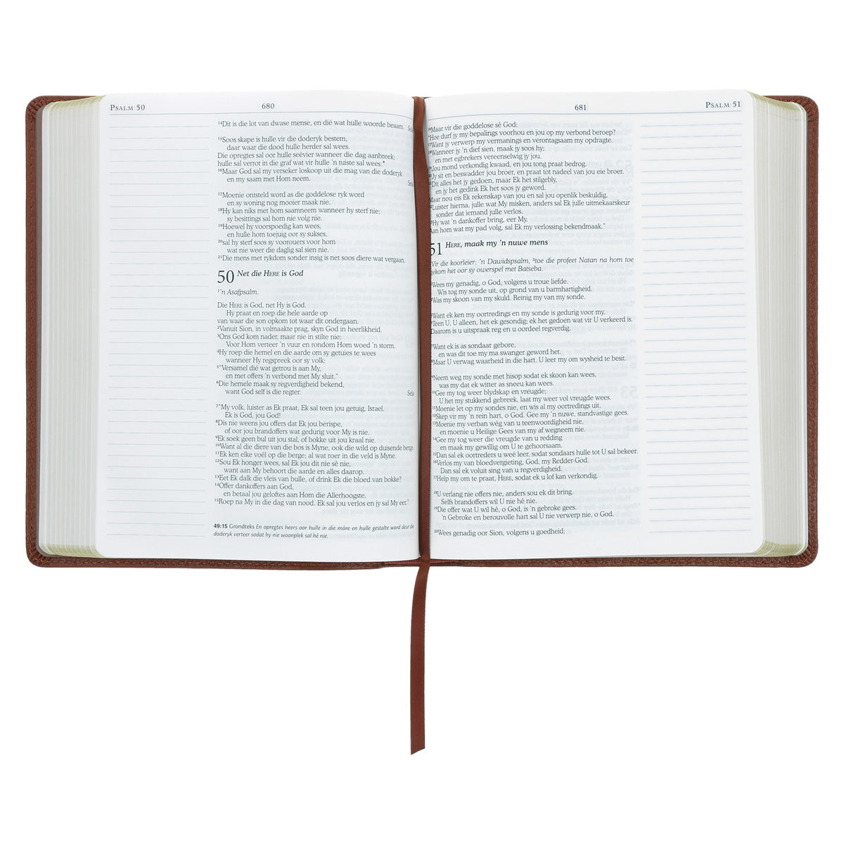 NLV Bruin Egte Leer Joernaal-Bybel