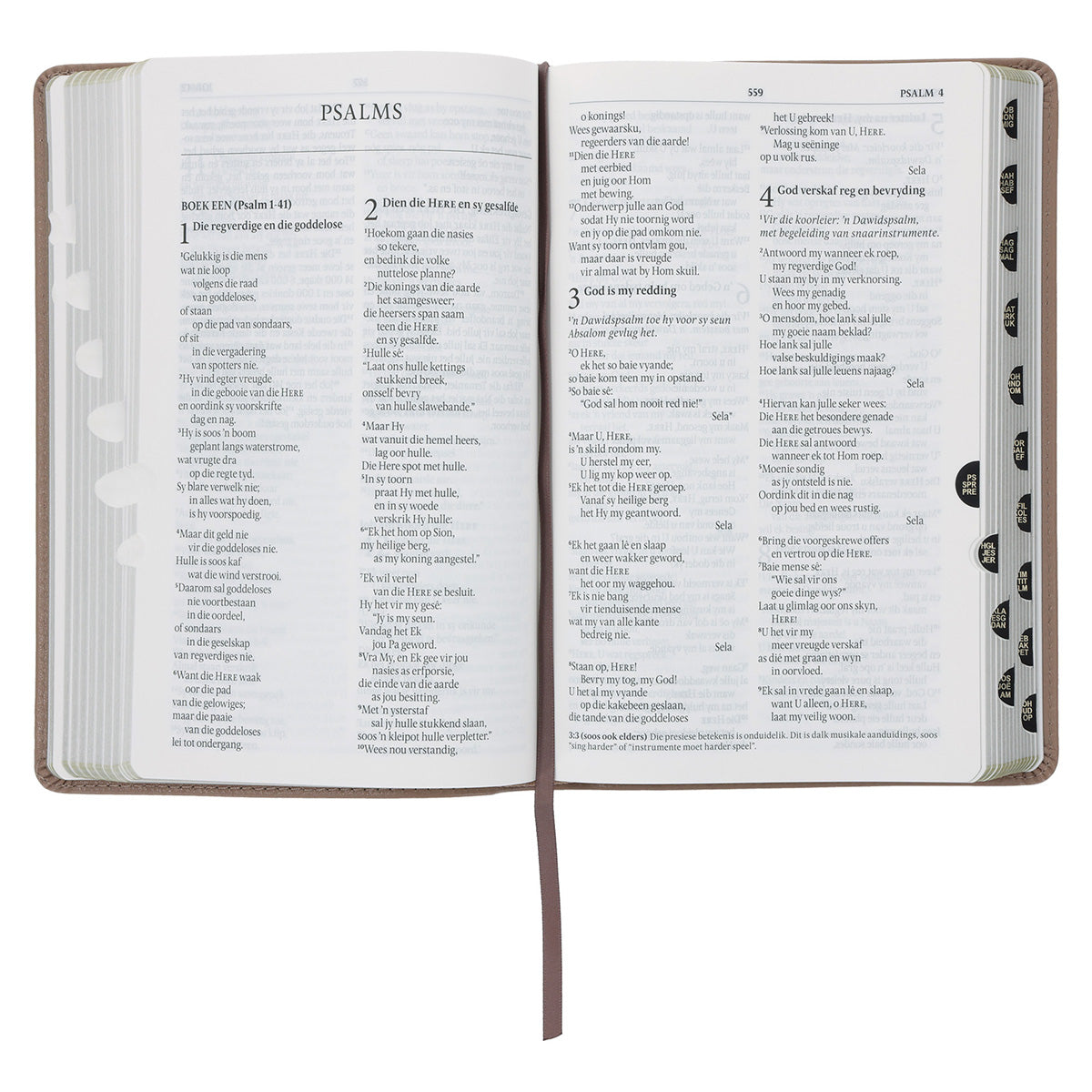 NLV Sandsteen Egte Leer Standaard Bybel