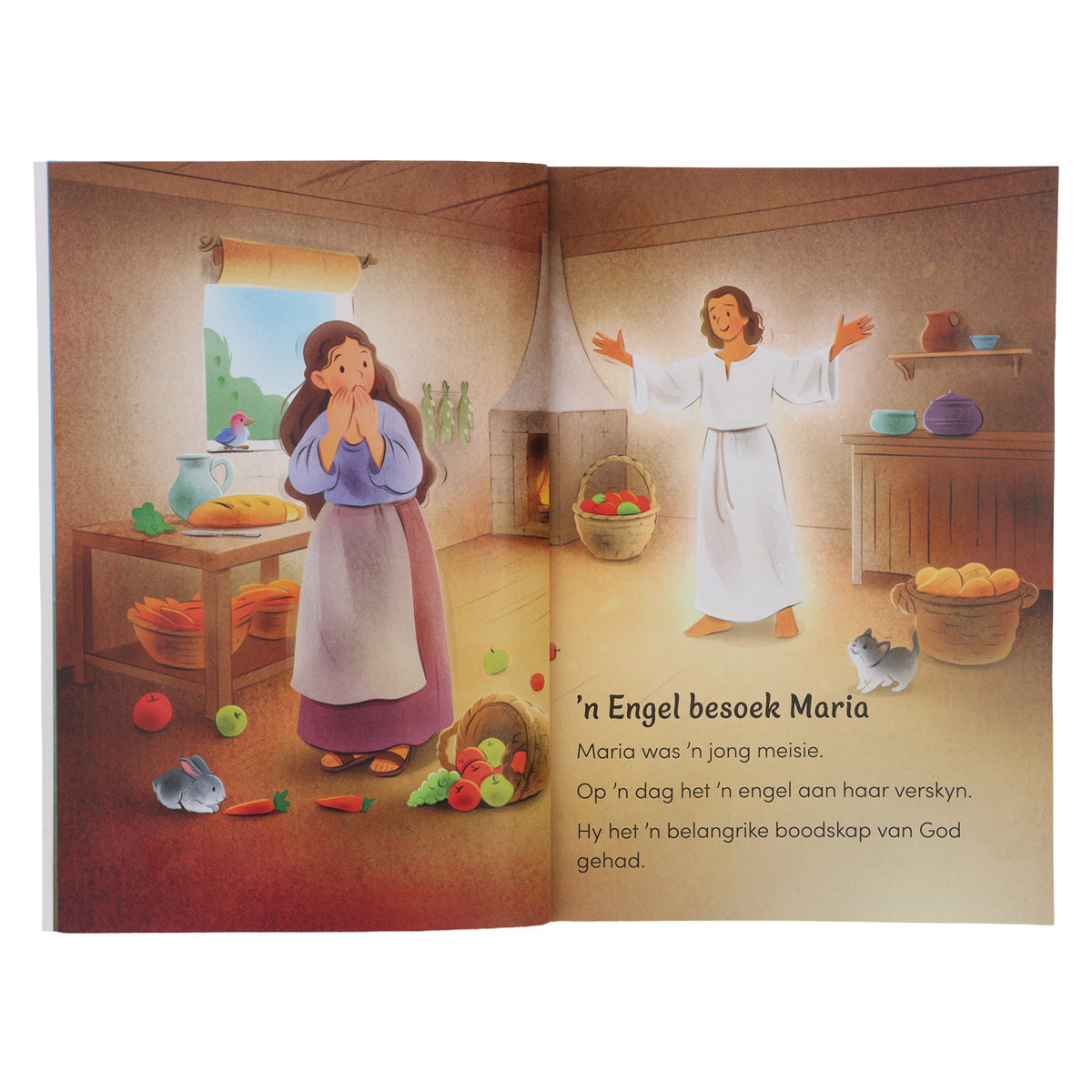 Jesus Se Geboorte - Eerste Lesers (Sagteband)