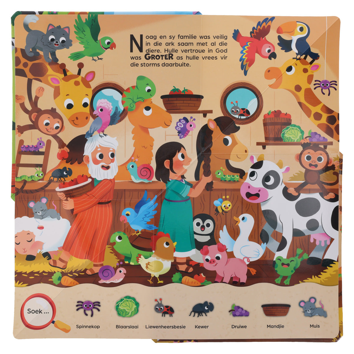 My Groter Soek-en-Vind Noag Se Ark (Kartonboek)
