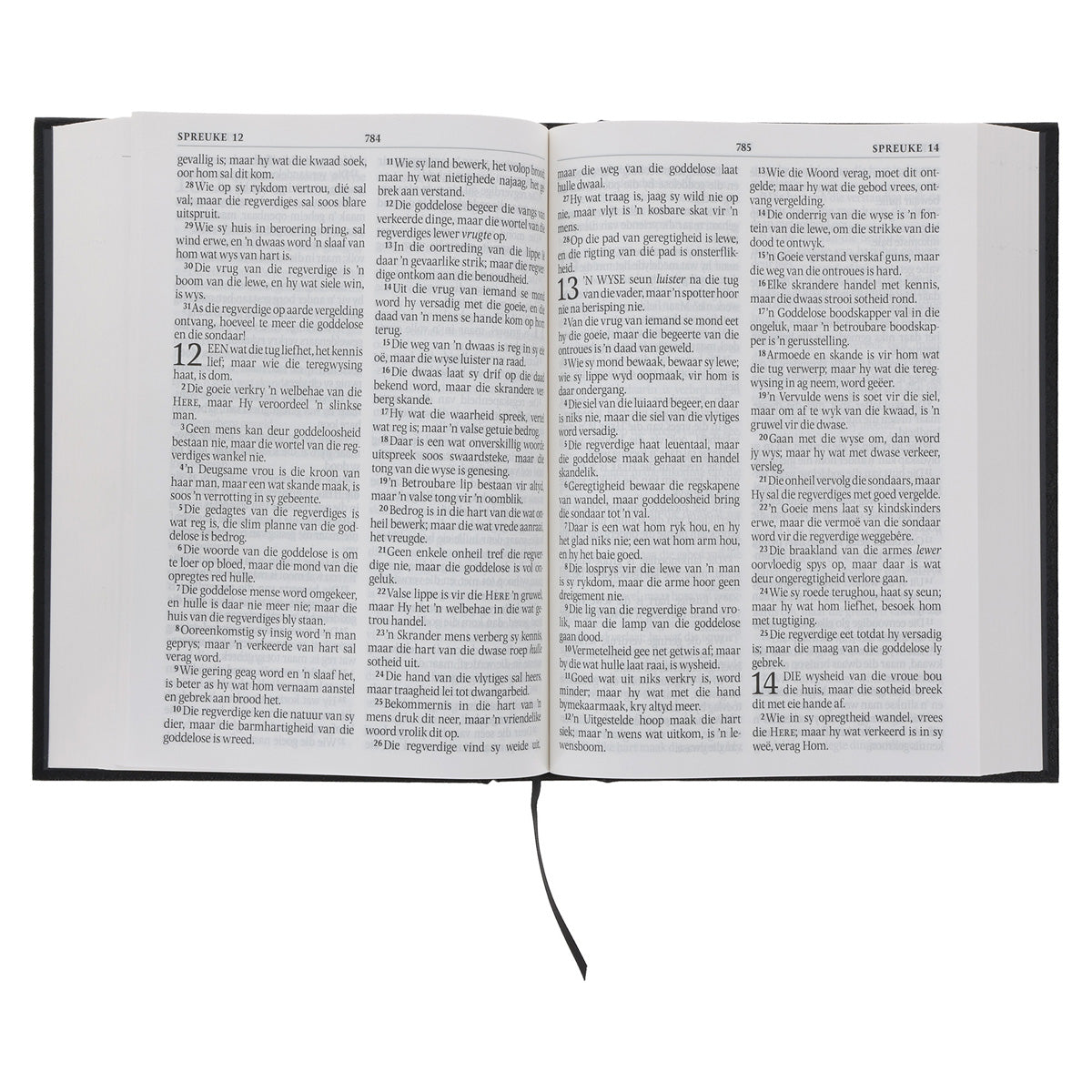 Afrikaans 1933/1953 Vertaling Swart Hardeband Bybel Grootdruk