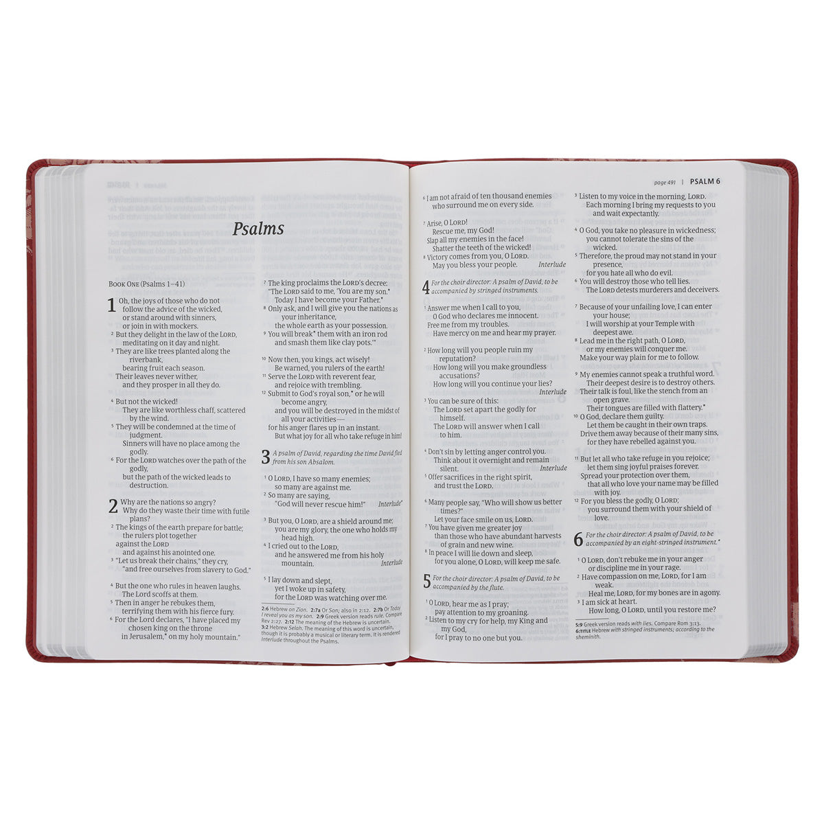 NLT Red Roses Genuine Leather Bible Large Print