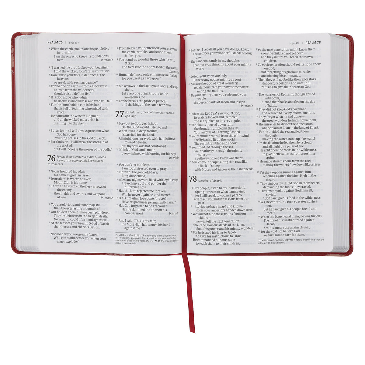 NLT Red Roses Genuine Leather Bible Large Print