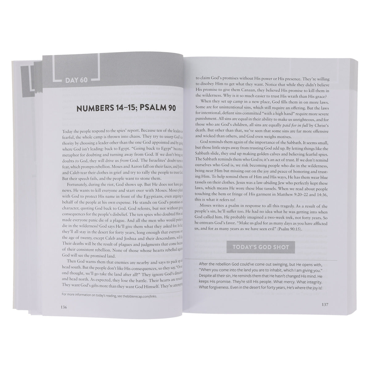 The Bible Recap (Paperback)