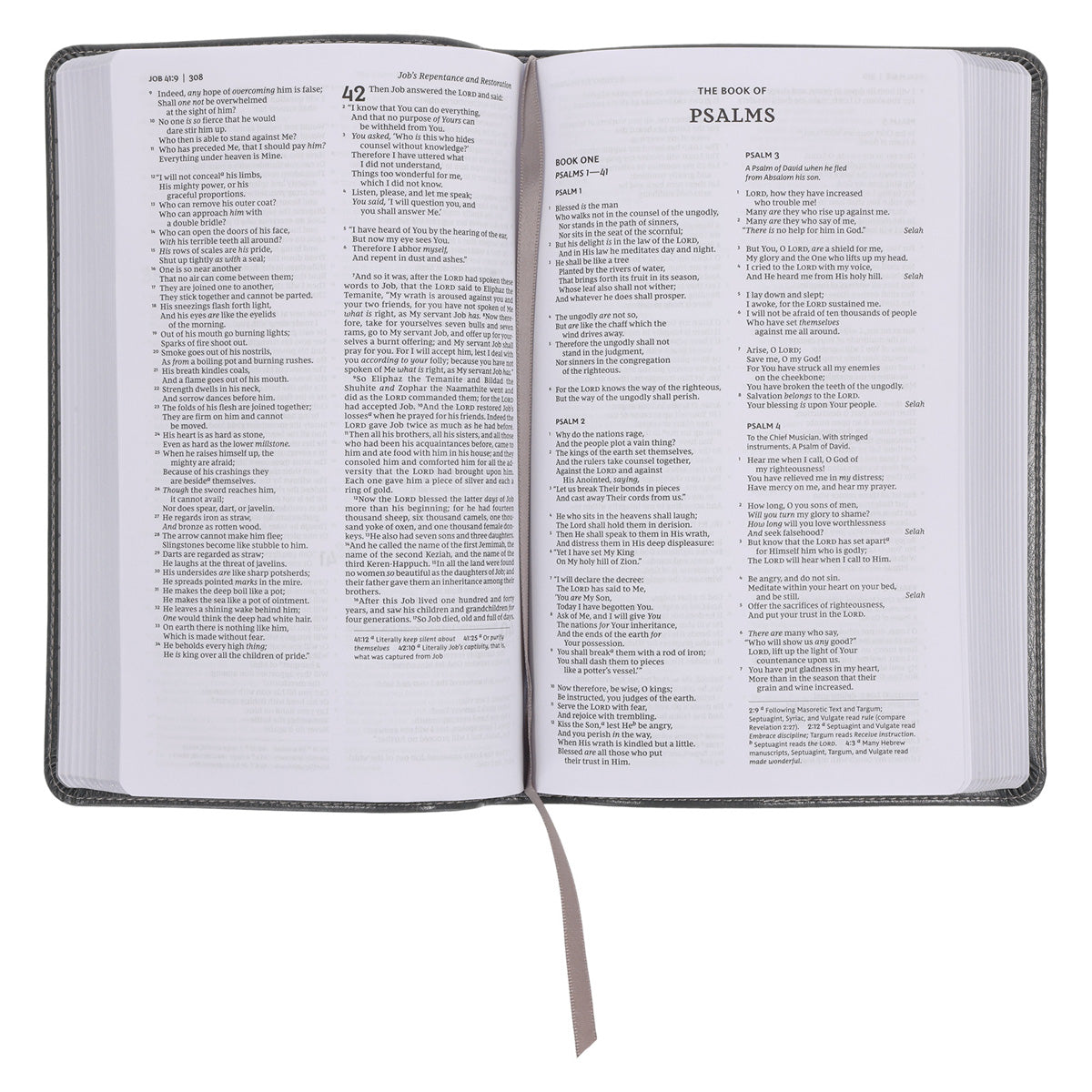 NKJV Deluxe Gift Bible Red Letter Gray (Comfort Print)(Imitation Leather)