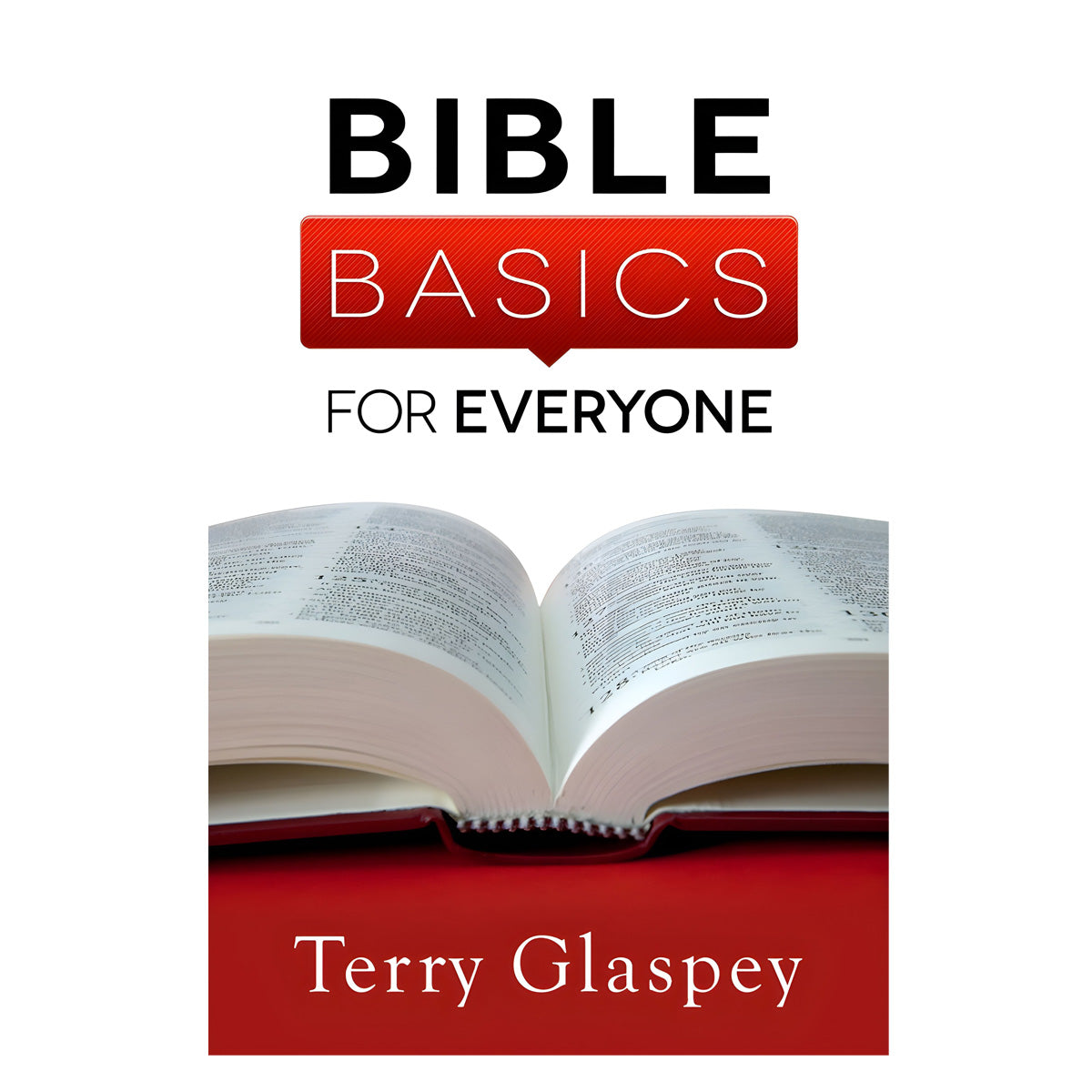 Bible Basics For Everyone (Mass Market Paperback)