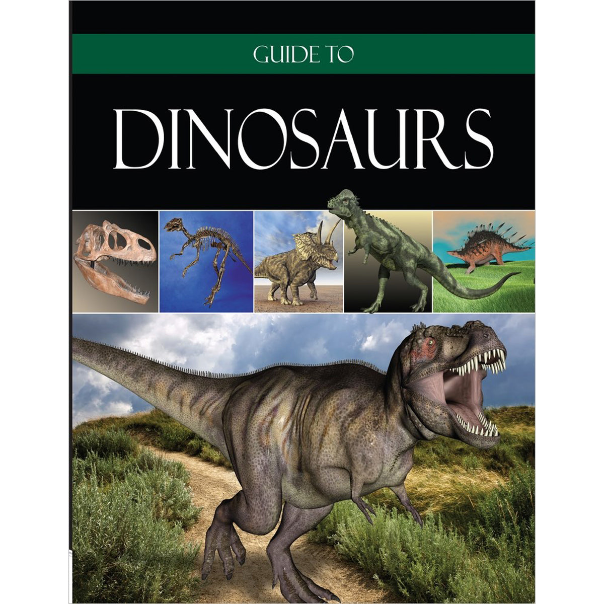 Guide To Dinosaurs (Hardcover)