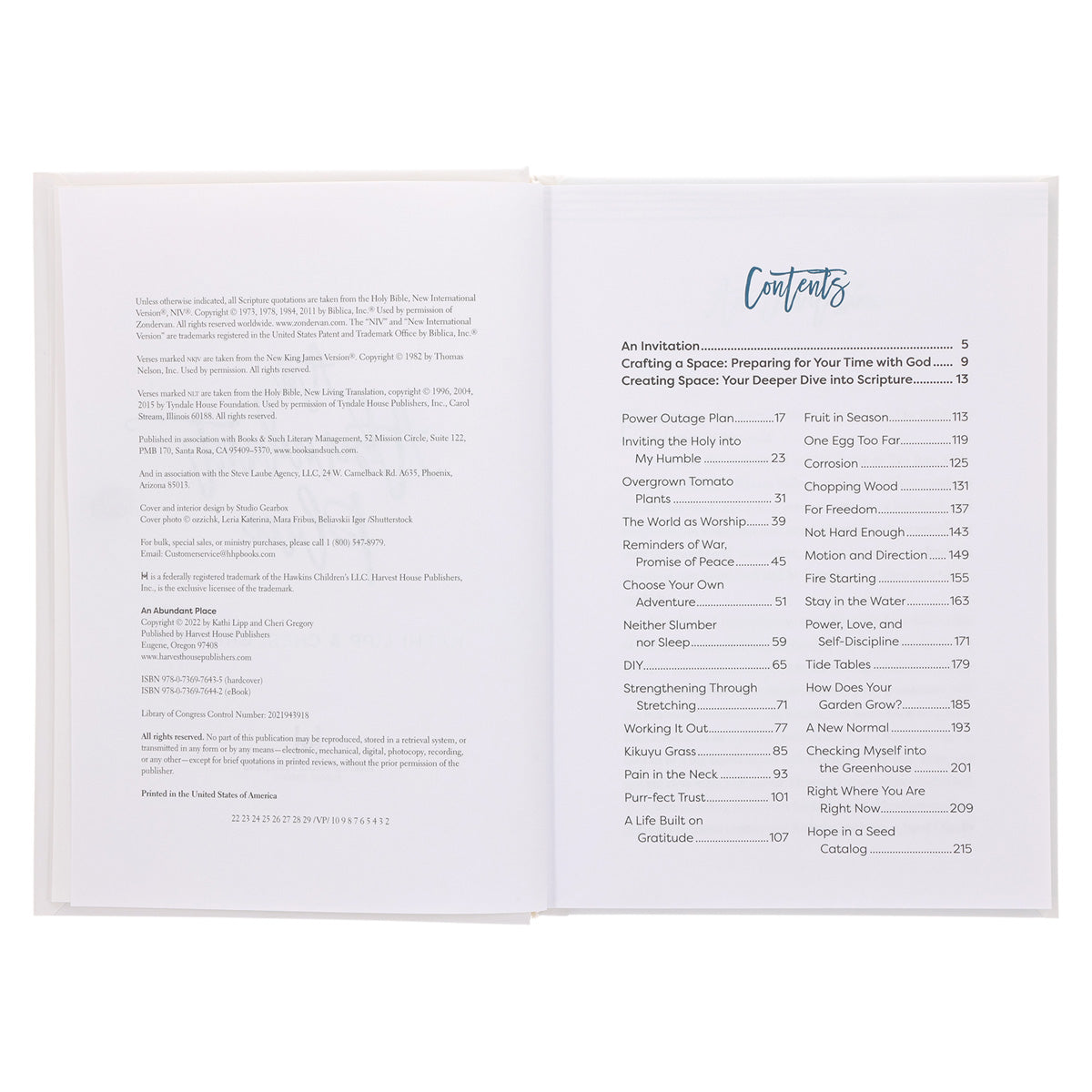 An Abundant Place: Daily Retreats for the Women Who can't Get Away (Hardcover)