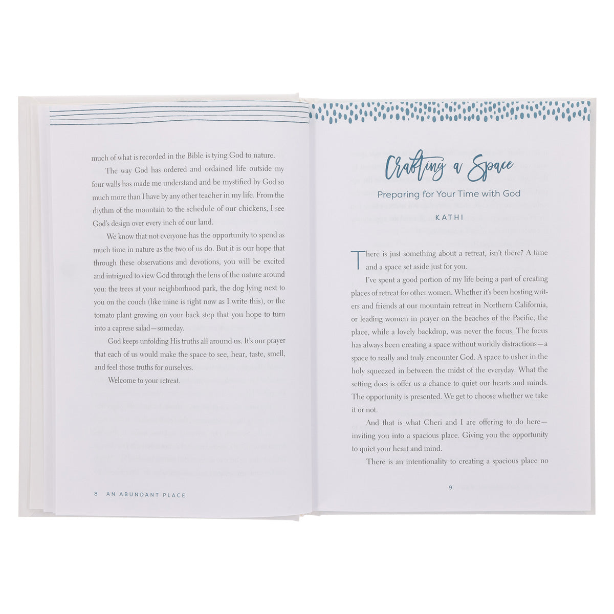 An Abundant Place: Daily Retreats for the Women Who can't Get Away (Hardcover)