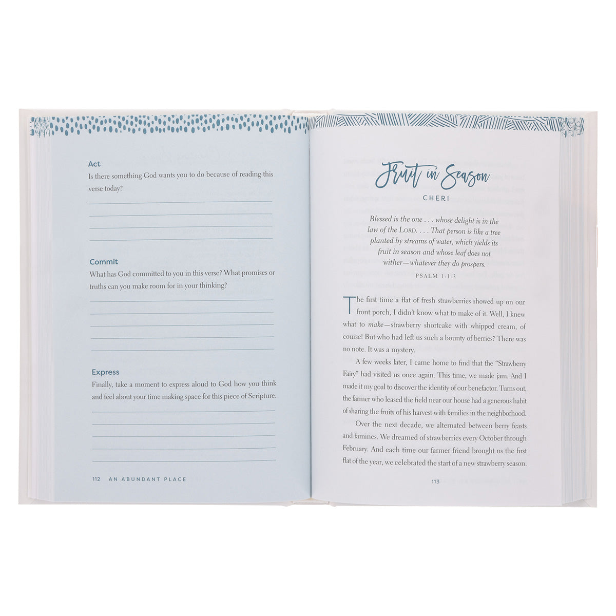 An Abundant Place: Daily Retreats for the Women Who can't Get Away (Hardcover)