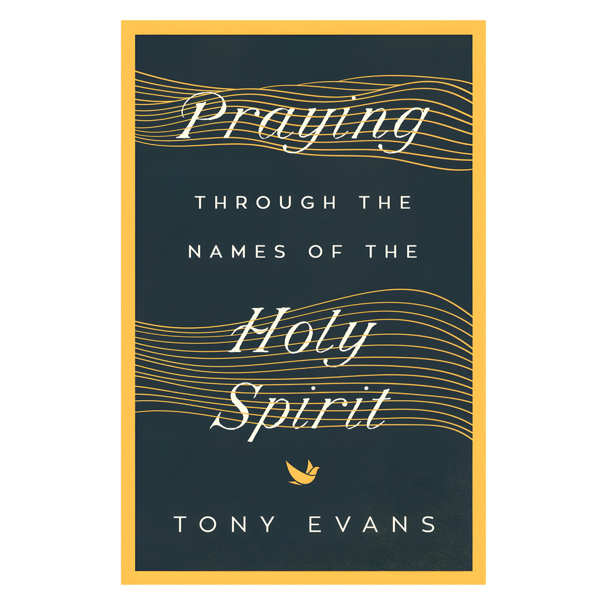 Praying Through the Names of the Holy Spirit - The Names of God Series (Paperback)