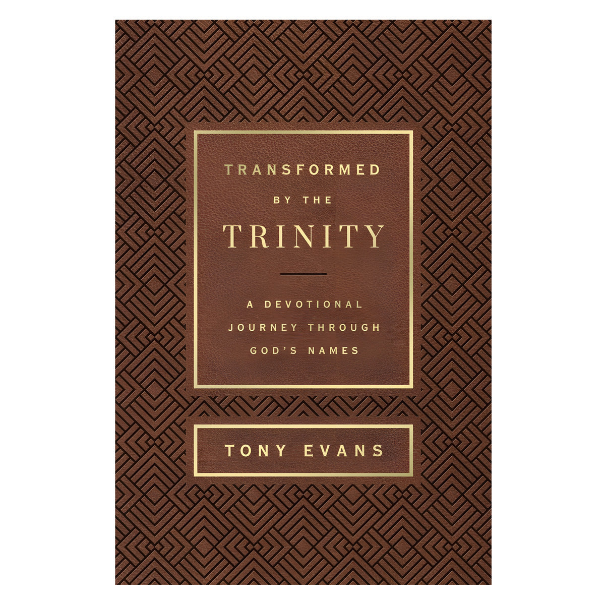 Transformed by the Trinity: A Devotional Journey Through God's Names - The Names of God Series IM