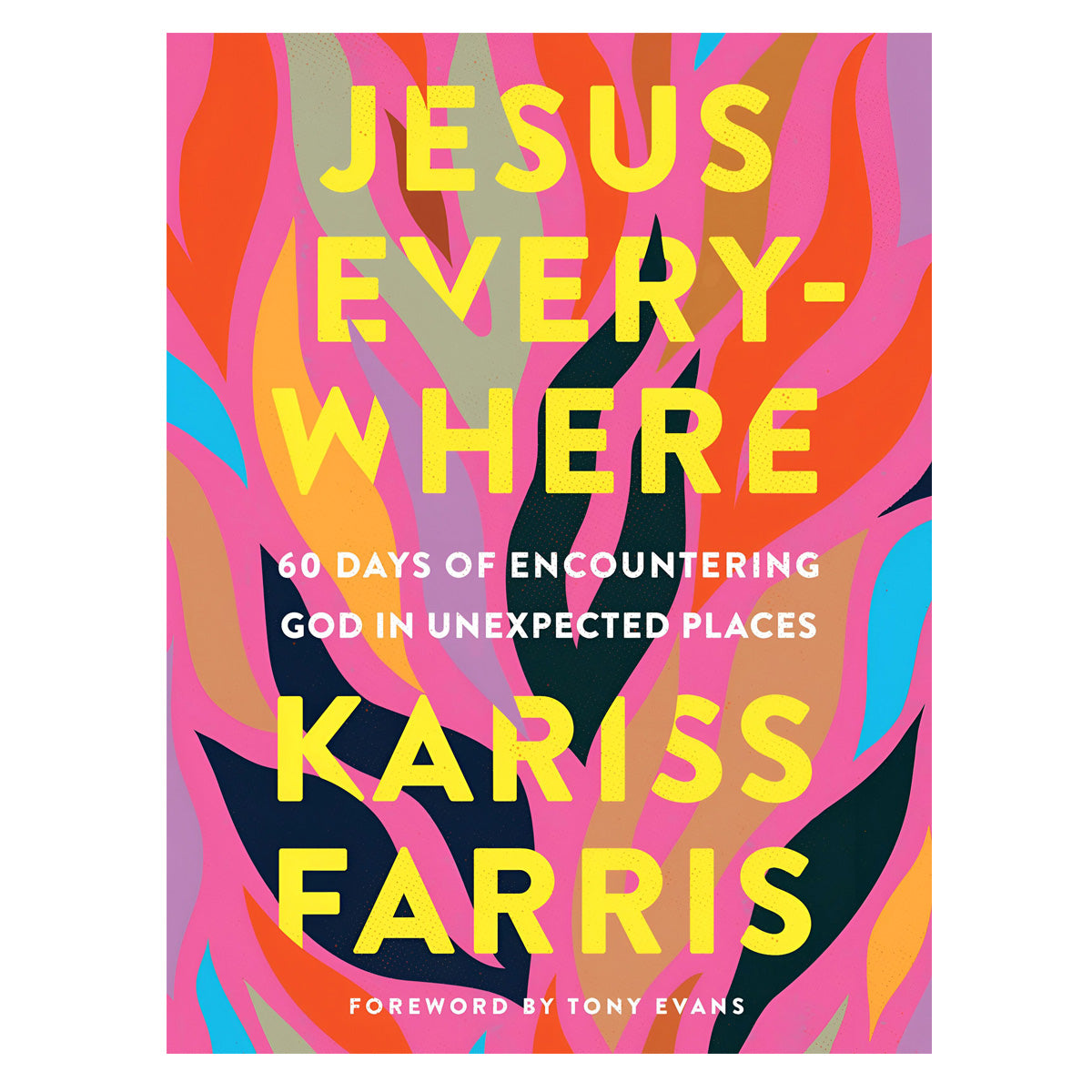 Jesus Everywhere: 60 Days of Encountering God in Unexpected Places (Hardcover)