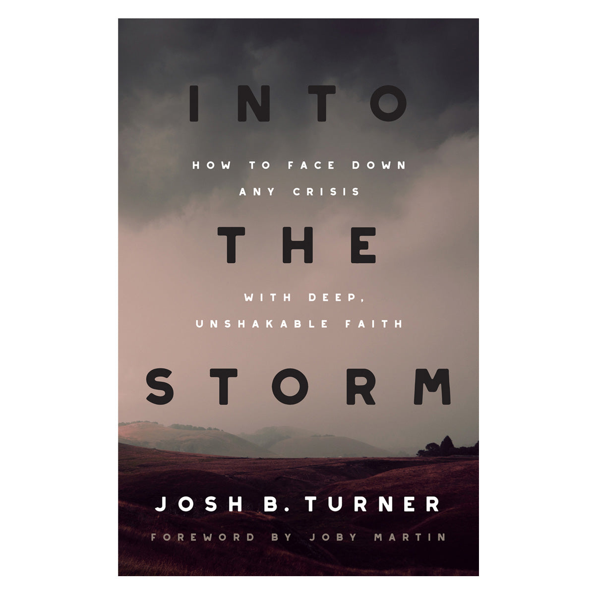 Into the Storm: How to Face Down Any Crisis with Deep, Unshakable Faith (Paperback)