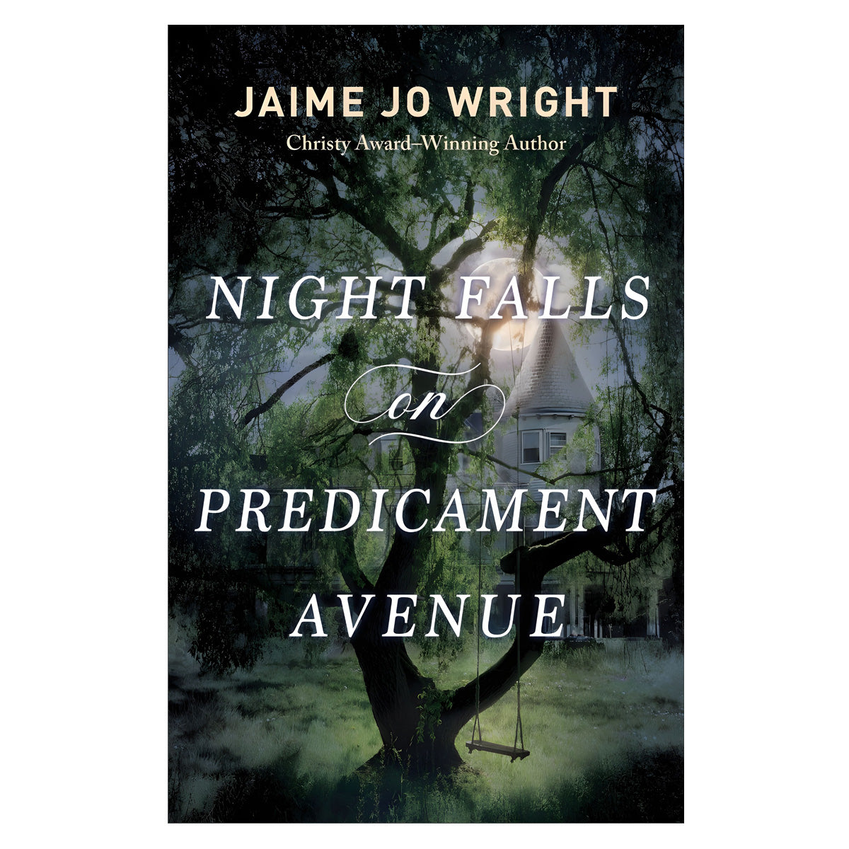 Night Falls on Predicament Avenue (Paperback)