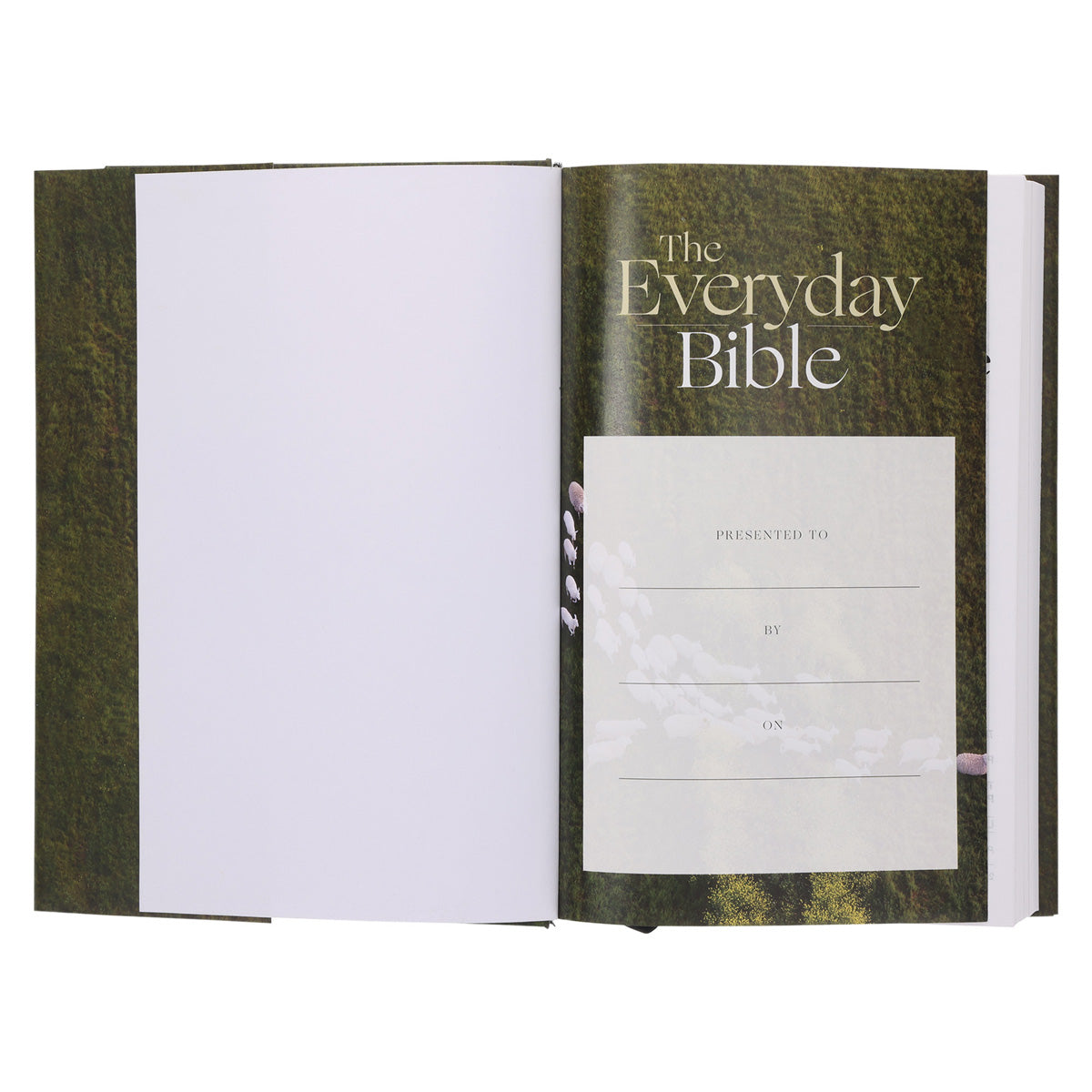 KJV Everyday Bible Red Letter Comfort Print (Hardcover)
