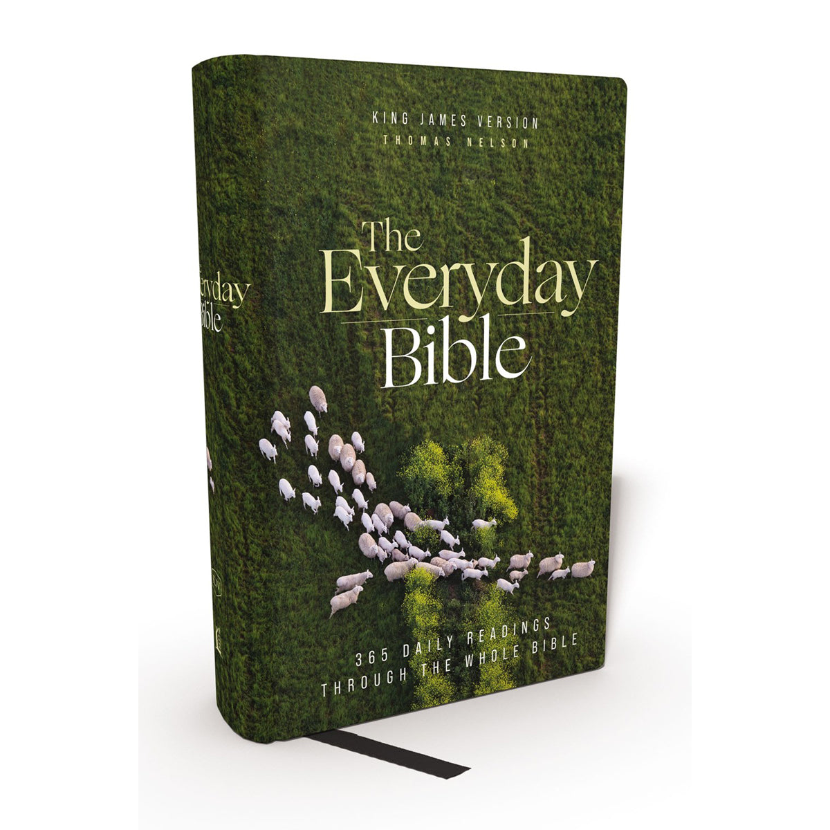 KJV Everyday Bible Red Letter Comfort Print (Hardcover)