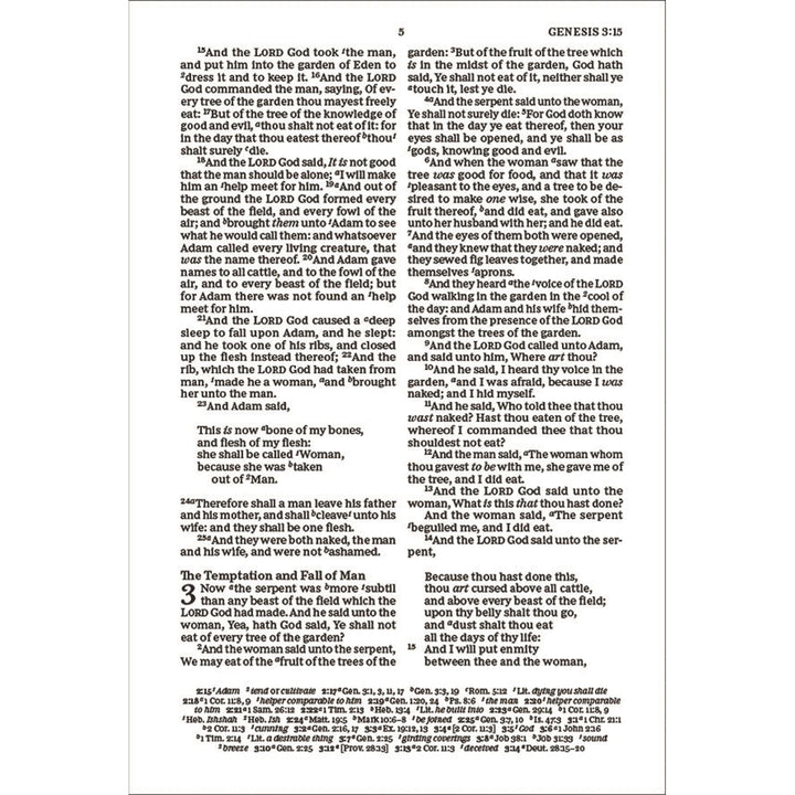 KJV Thinline Paragraph-Style Bib Red Letter Purple (Comfort Print)(IM)