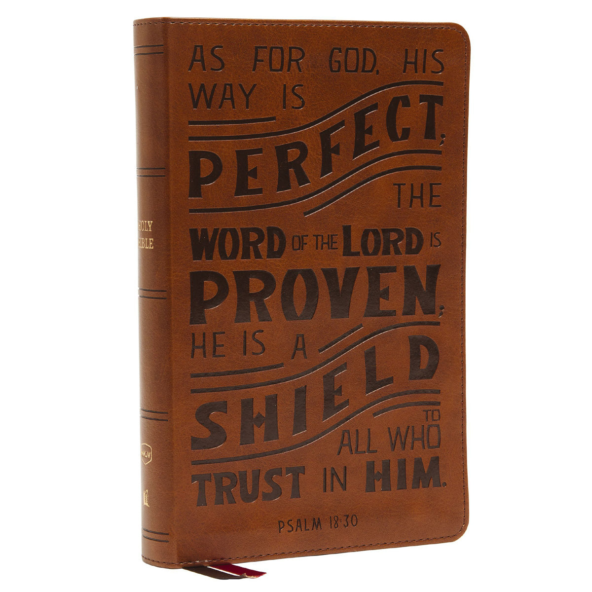 NKJV Personal Size Reference Bible Tan (Comfort Print)(Verse Art Cover)(Imitation Leather)